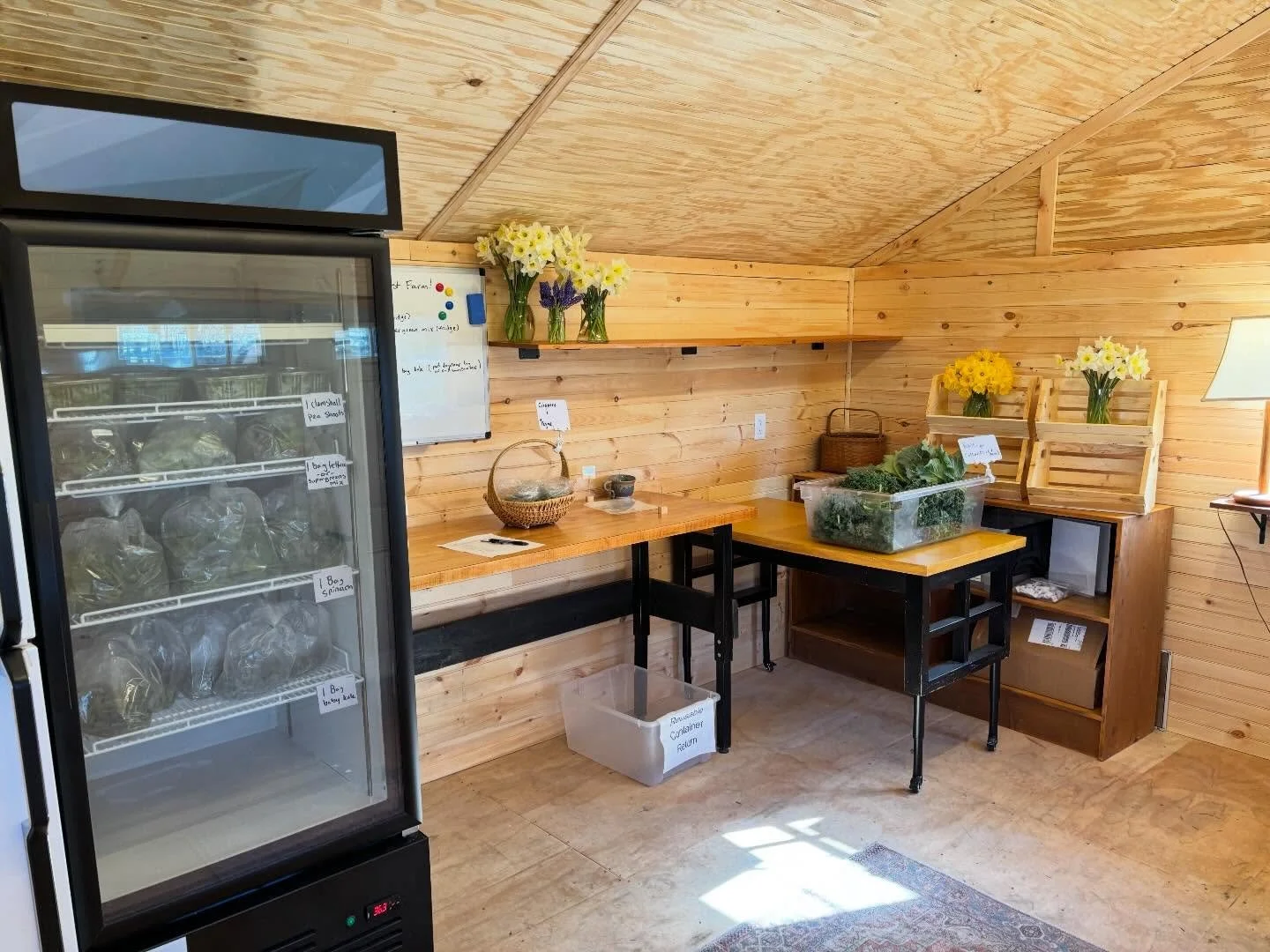 Today was the first CSA pickup of 2026! Excited that fresh veggies are finally here. Lots of Spring green green greens! And check out our new pick up area - we are very proud of it!🥬🌿🌼