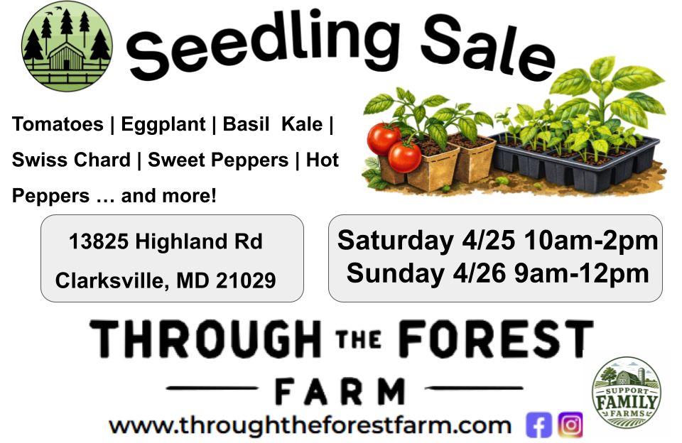 Seedling Sale - Saturday