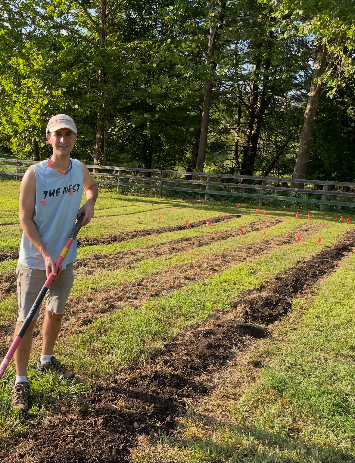Volunteer Day
