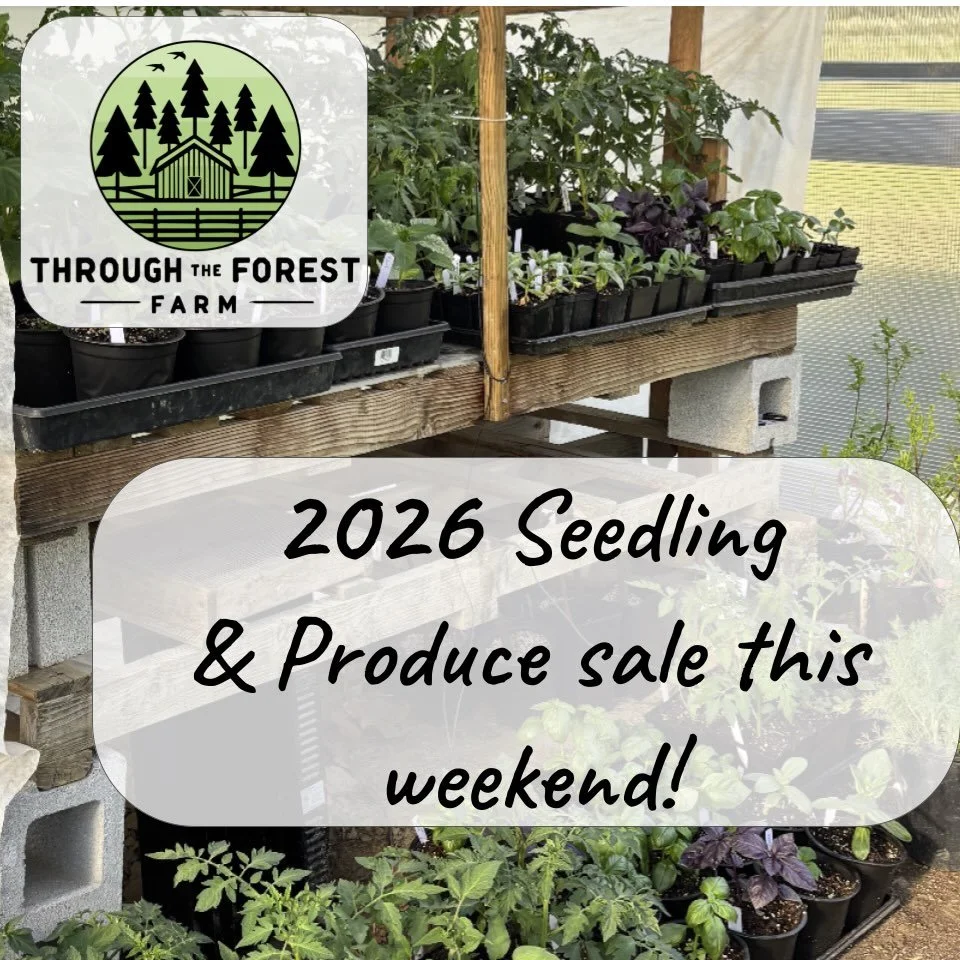 What a good weekend to plant a garden! Come visit us for your seedling needs (heirloom tomatoes anyone?!?🍅) and check out our new farm stand! #seedlings #heirloomtomatoes #lettucemix