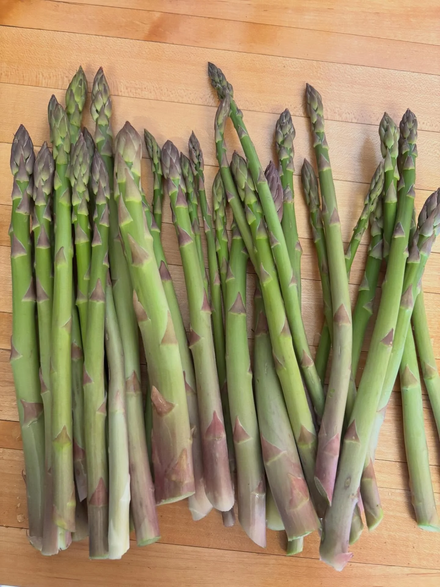 A collection of this weeks photos! Asparagus, sprouting broccoli, kale bunches, braiding row cover, pollinating strawberries, spring 2026 aerial photos, planting tomatoes in the high tunnel deep with a post hole digger. Only one more week of the Spri