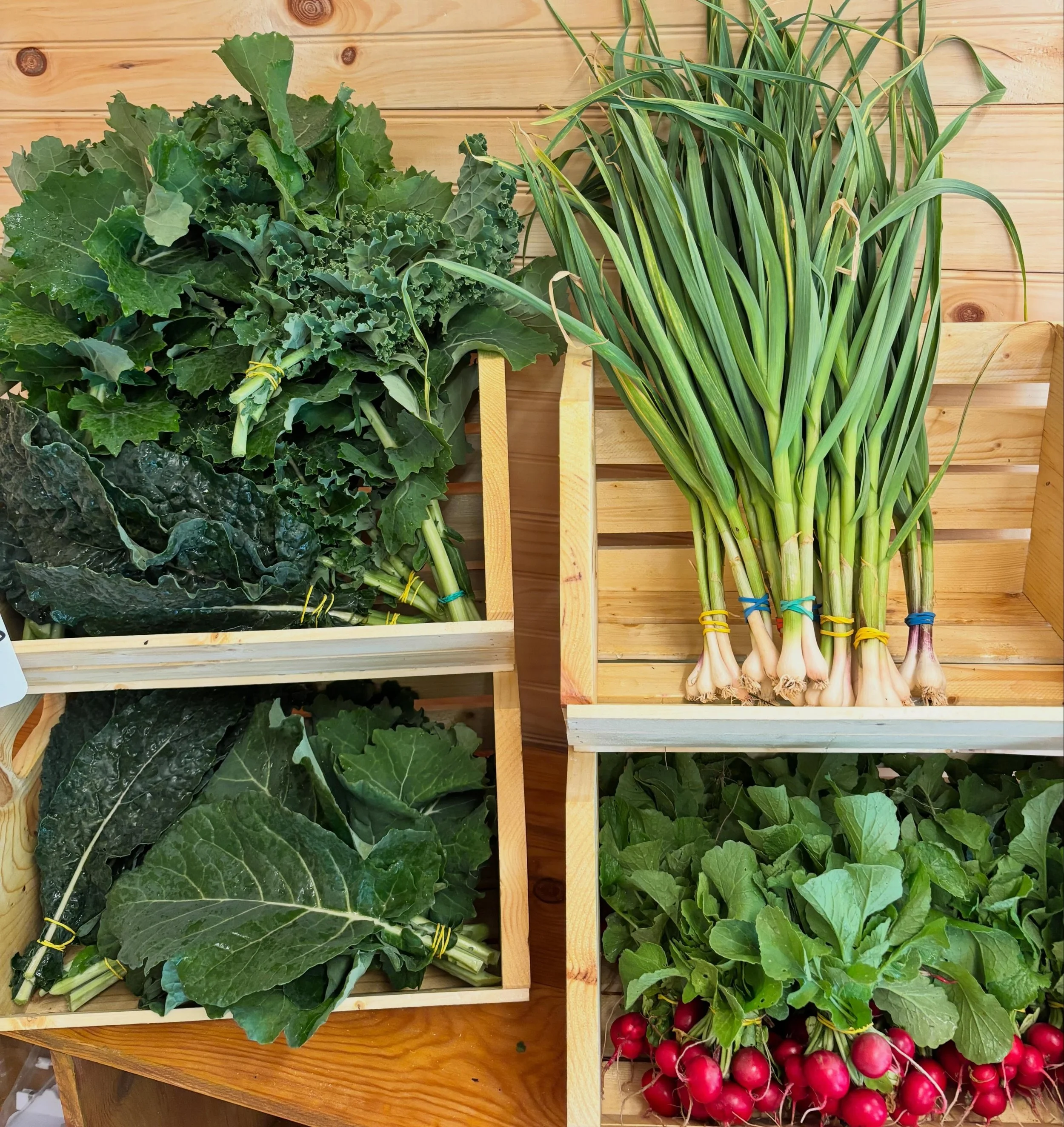 That&rsquo;s a wrap for our 2026 Spring CSA! This year we ramped up our greens production (hello weekly full fridge of bagged greens!) and we are dialing in our flower and herb production, too! Happy Mother&rsquo;s Day! See you for the Summer CSA in 