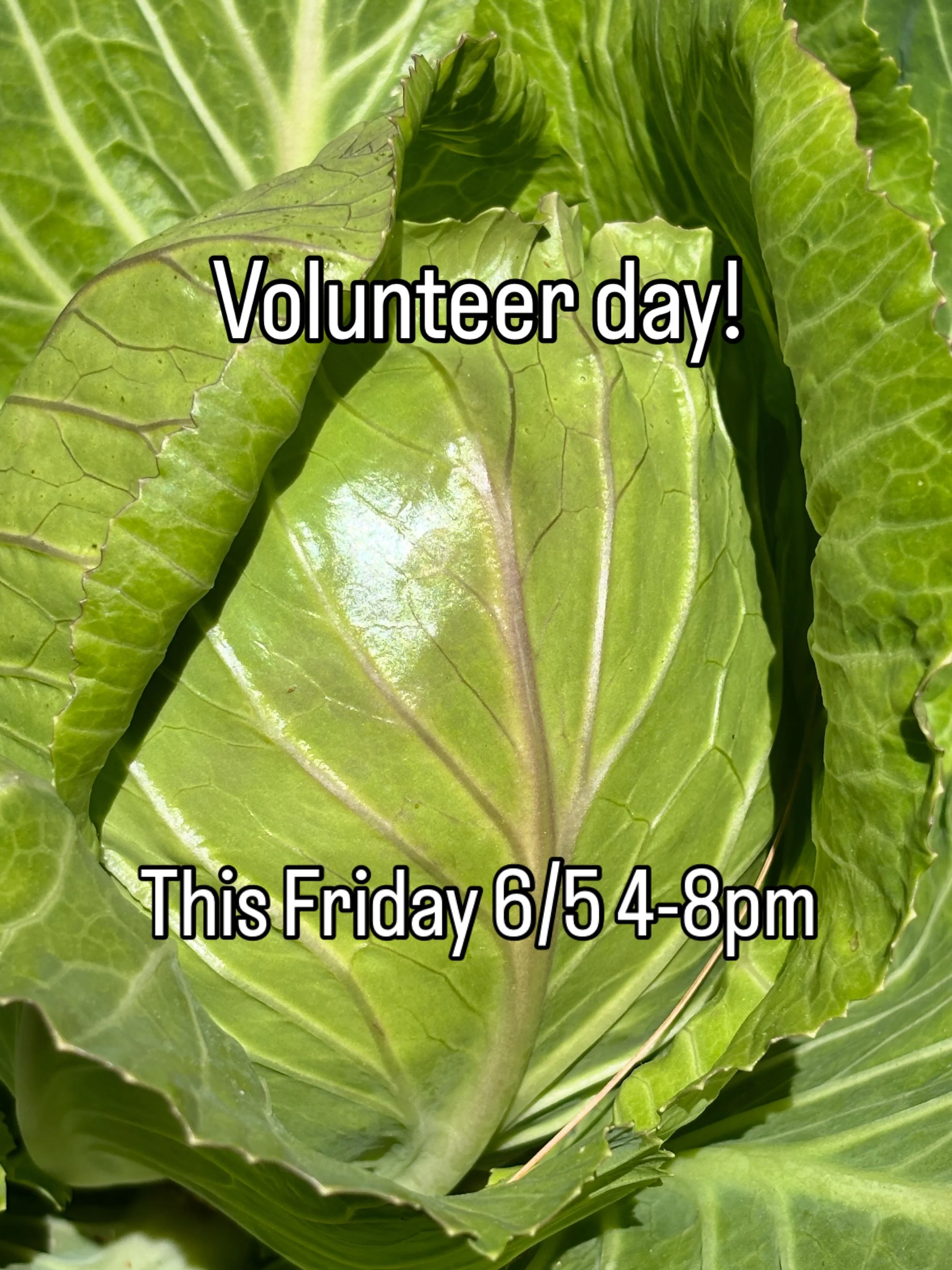 Come get your hand dirty and help us:
Mulch fruit trees
Prepare a new bed for planting sweet potatoes
Hill potatoes 
And more!

This Friday from 4-8pm. It will be hot but we&rsquo;ll have cold drinks and will work in the shade as much as possible!