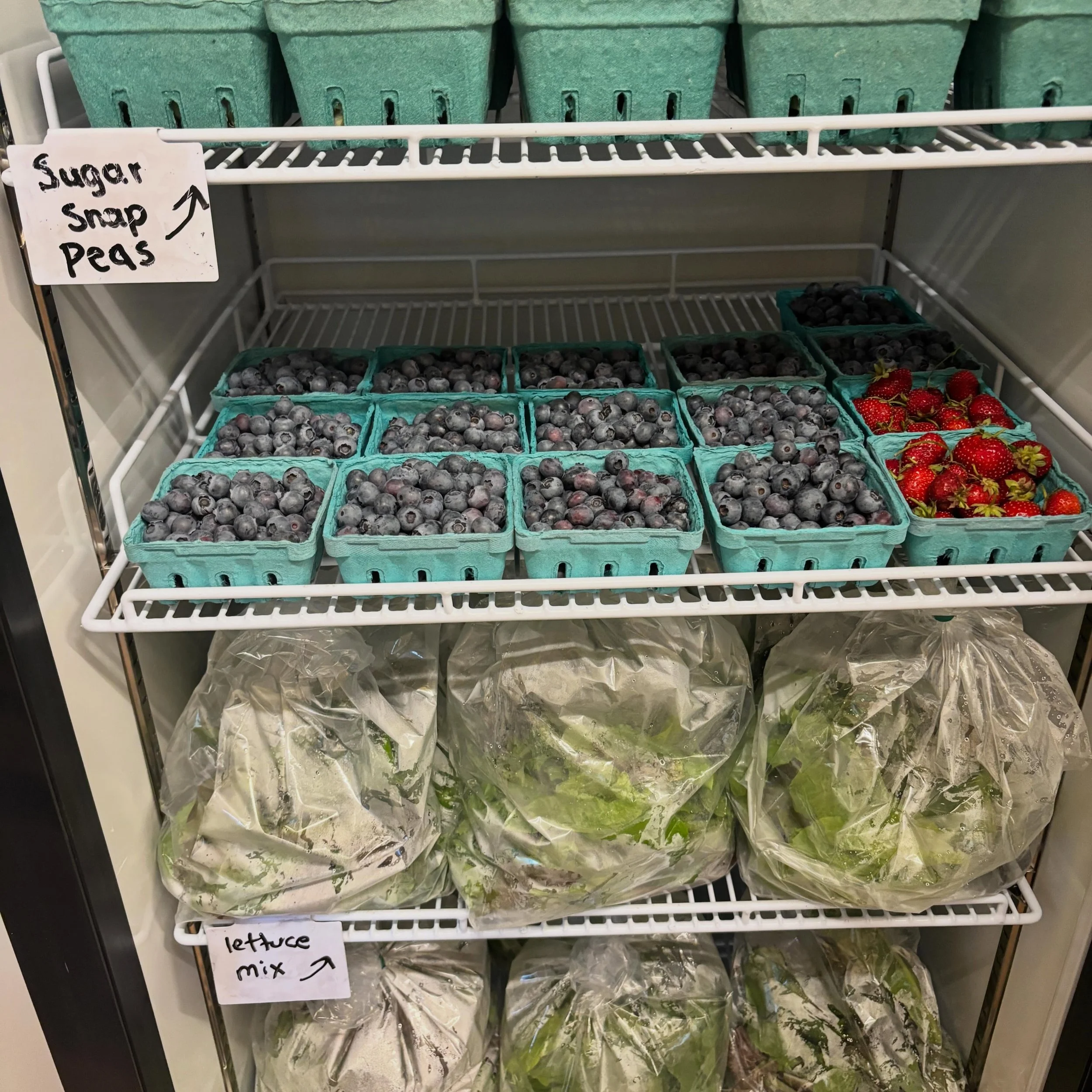 The blueberries are hitting their peak and the strawberries are hangin in there. 

Speaking of hanging, we harvest all of our garlic and it&rsquo;s now safely hanging in the barn rafters. 

🧄🧄🧄

The spring onions on their way out but storage onion