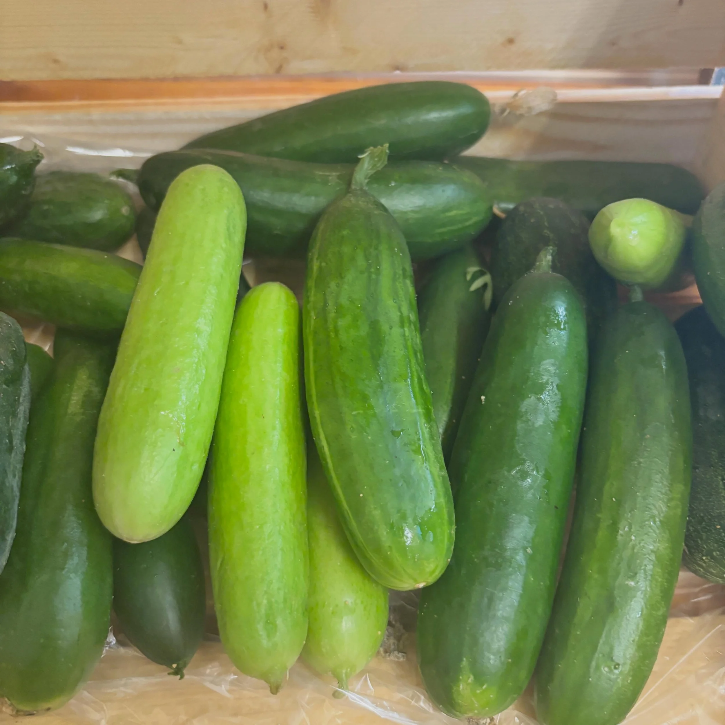 Week 5 Summer CSA!