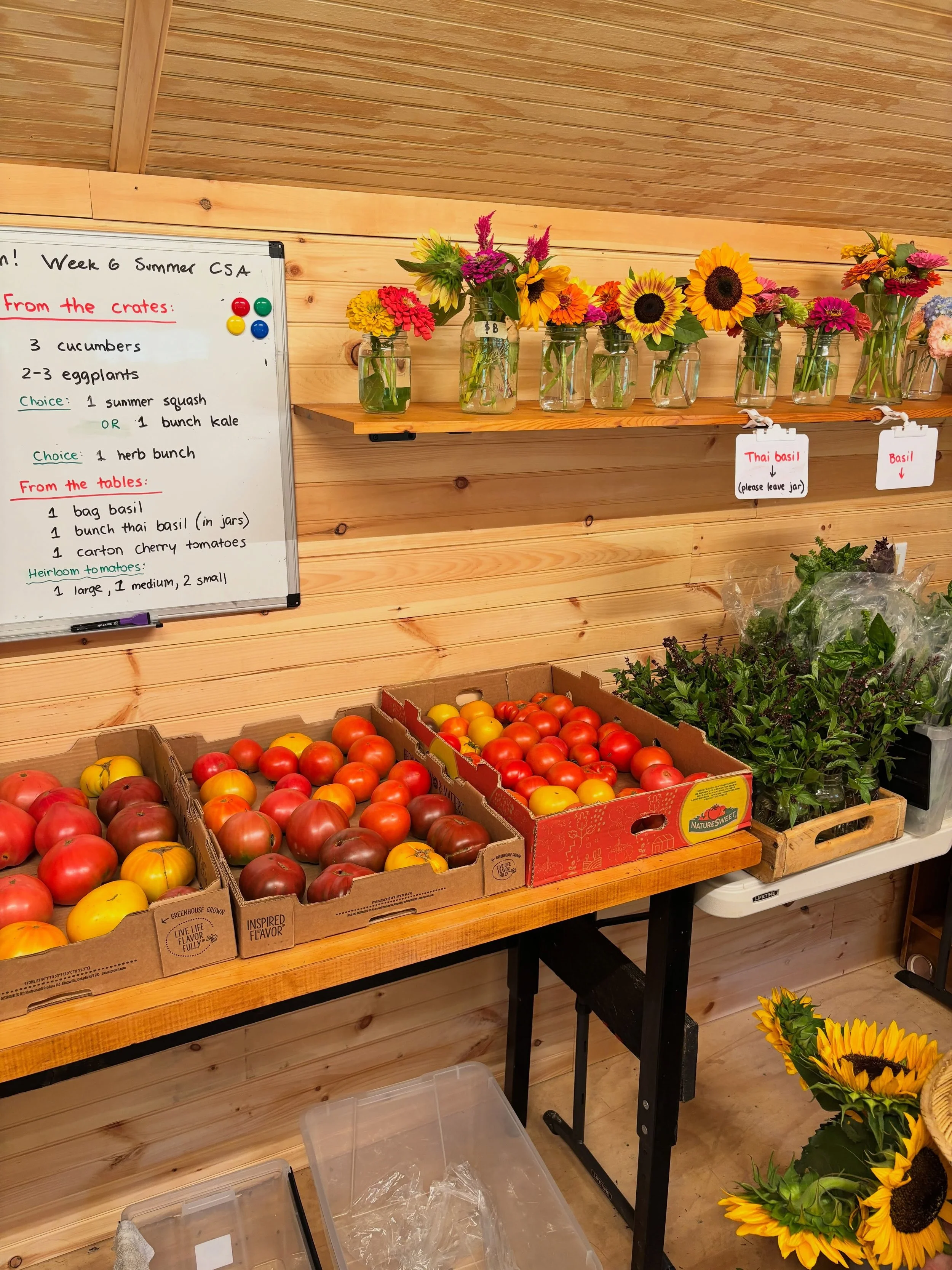 Lots of goodness coming in! Tomatoes, eggplant, cucumbers, flowers, pole beans, and much, much more! The herbs and Thai basil are such a nice fragrance in the pickup shed.  Fingers crossed for this years melons patch 🤞🍈🍉