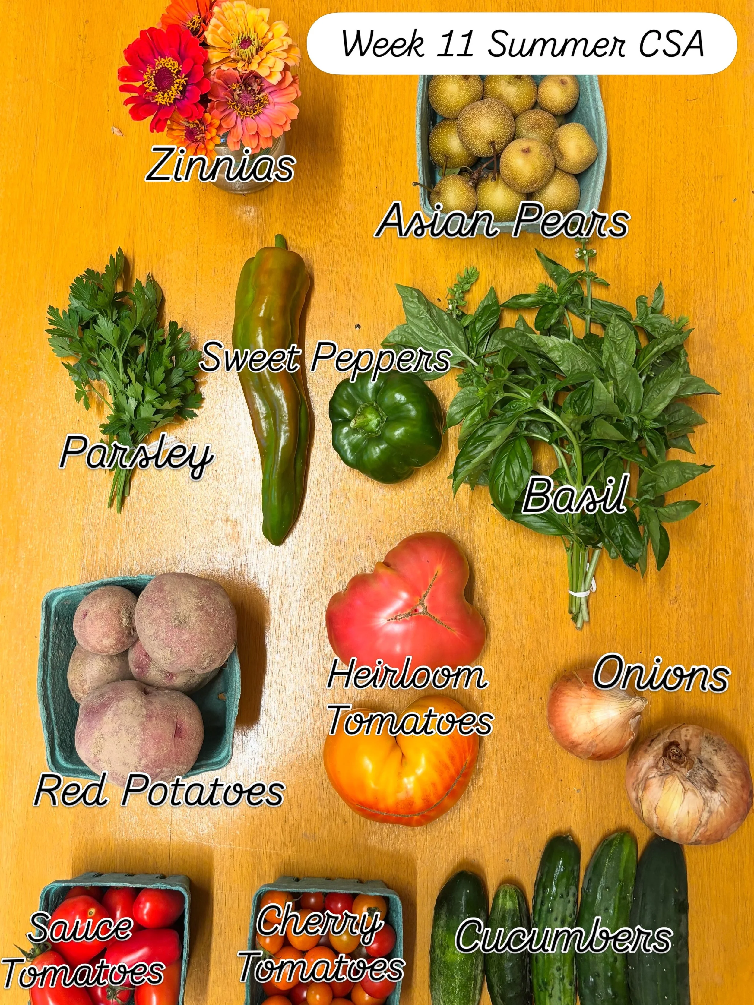 Saturday mornings are CSA mornings. Here&rsquo;s a quick sampling of what&rsquo;s available for our members this week. And this year we&rsquo;ll have our first Fall CSA. Registration is now open - link in bio #communitysupportedagriculture #summerCSA