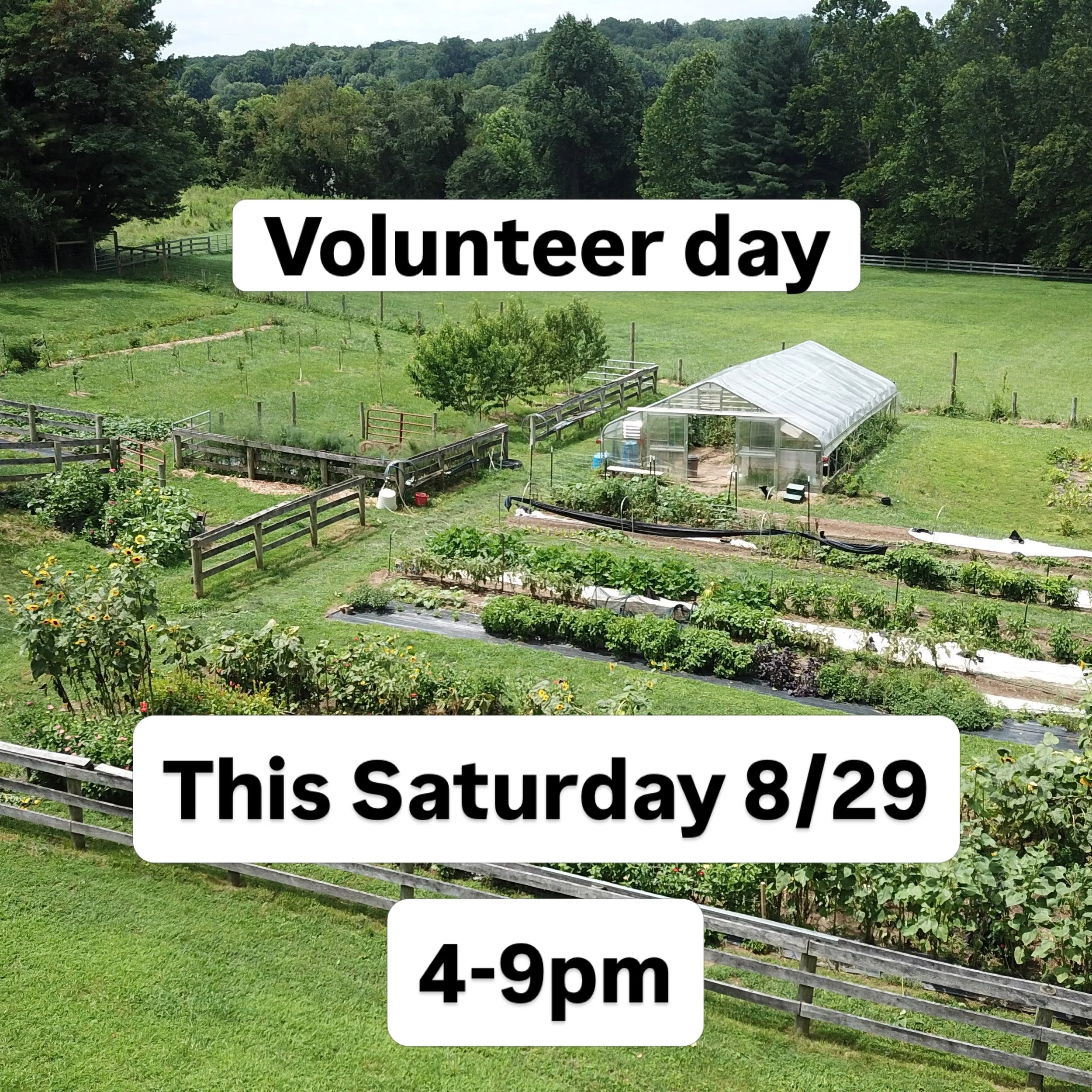 Join us this weekend for an end of summer volunteer day! There will be a bonfire and light refreshments to follow. Tasks include mulching, weeding, planting cover crops, and more! Let us know if you can make it!