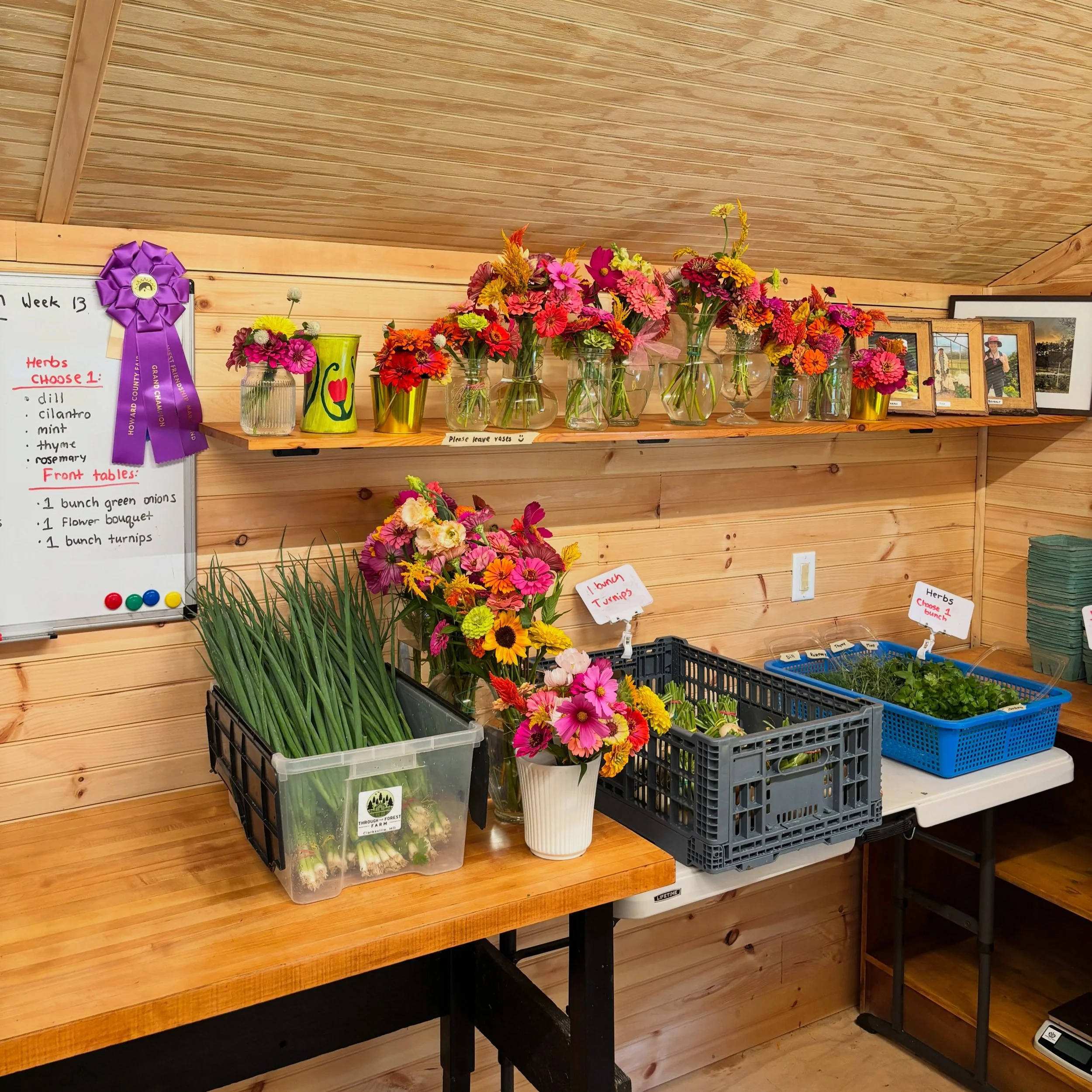 Last week was our last Summer CSA pickup and we are already in full swing with Fall planting and harvesting! Wouldn&rsquo;t be complete without some pretty flowers. Stop by our roadside flower stand this weekend!