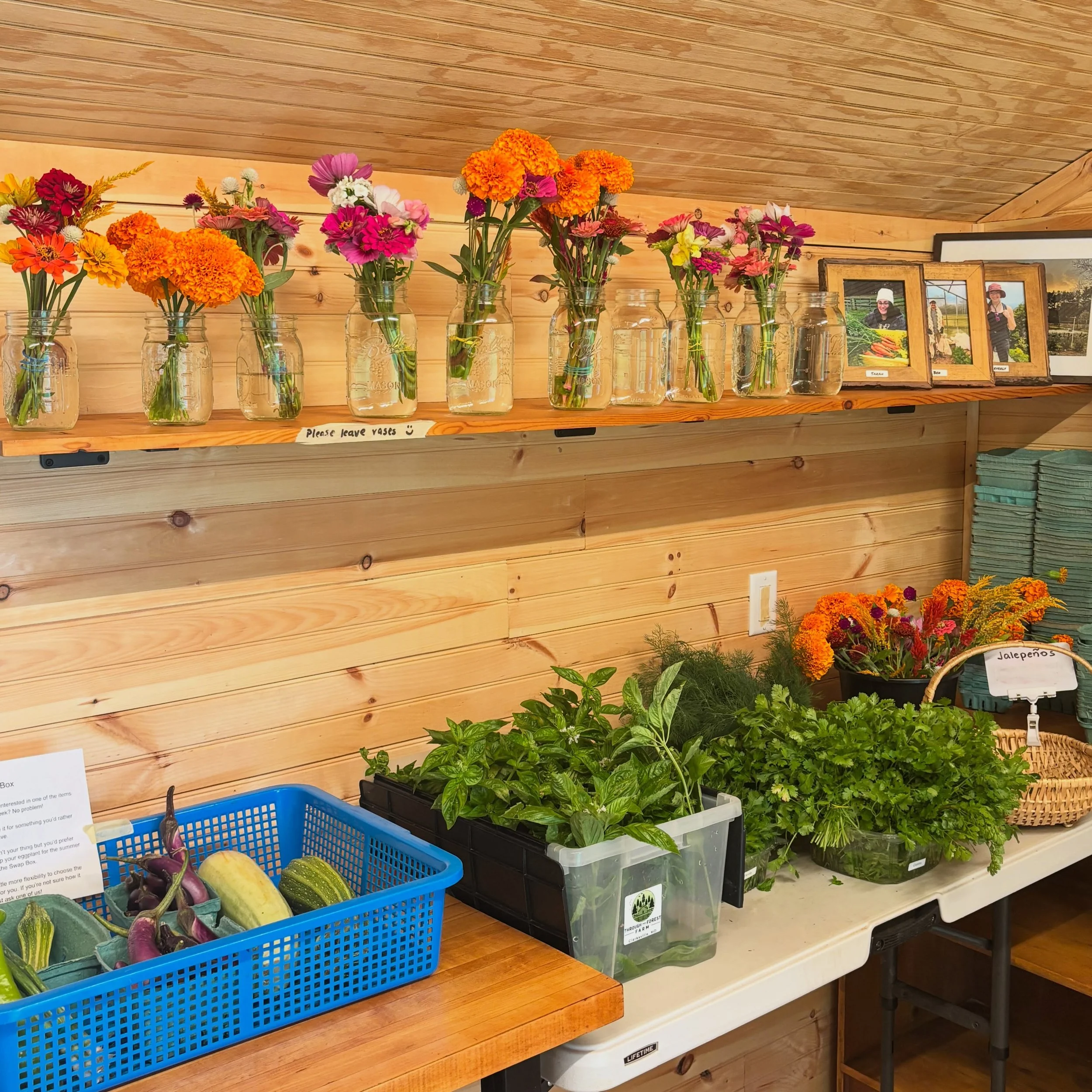 Fall CSA week 2! Today is the Harvest Moon and it showed! Quite the bounty of produce including kale, pak choy, cilantro, dill, and parsley are among the winners of the recent fall weather. We also took a short trip up to Maine and brought flowers fr
