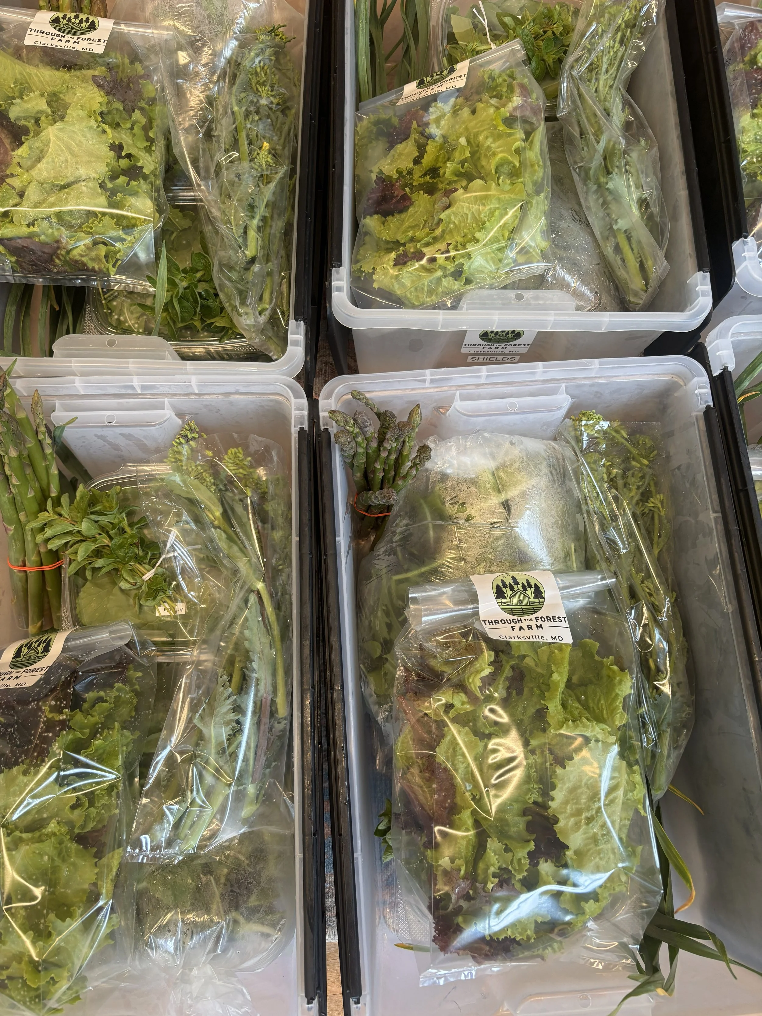 Spring 2026 CSA Share