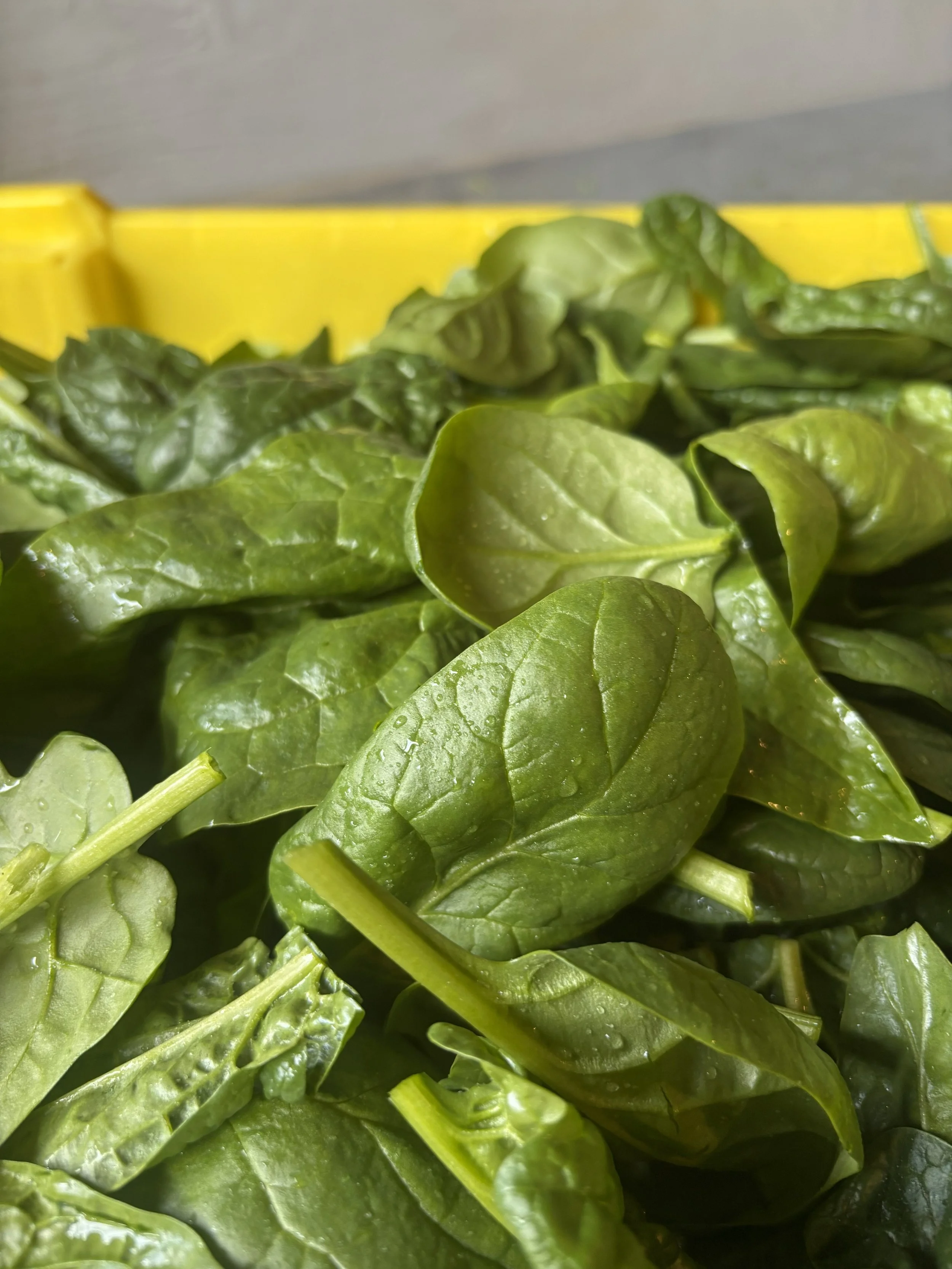 spinach.jpg