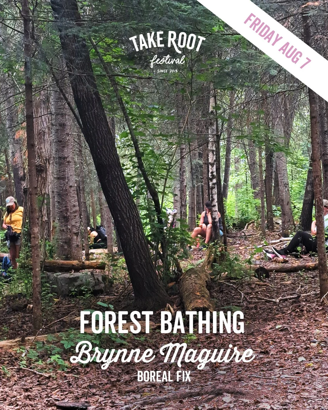 Forest Bathing - Brynne Maguire, Boreal Fix