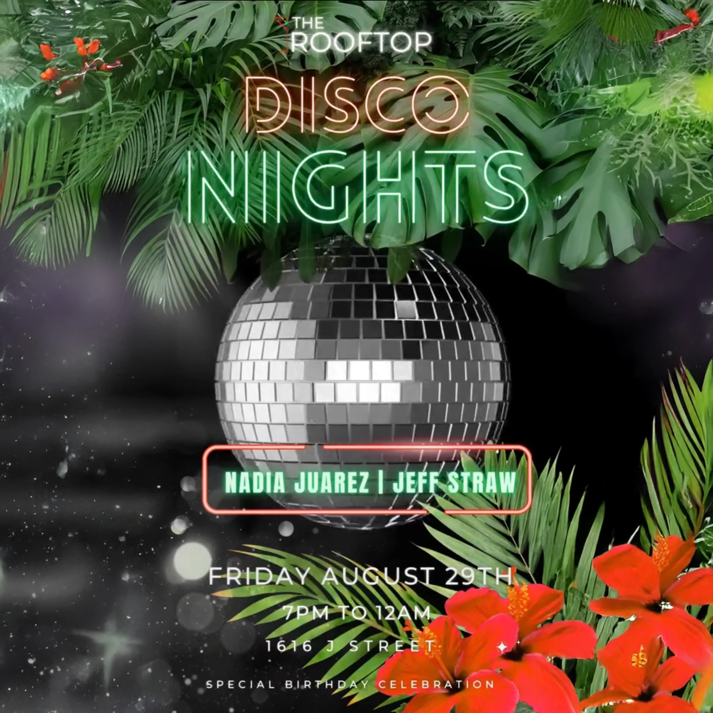 Disco Nights