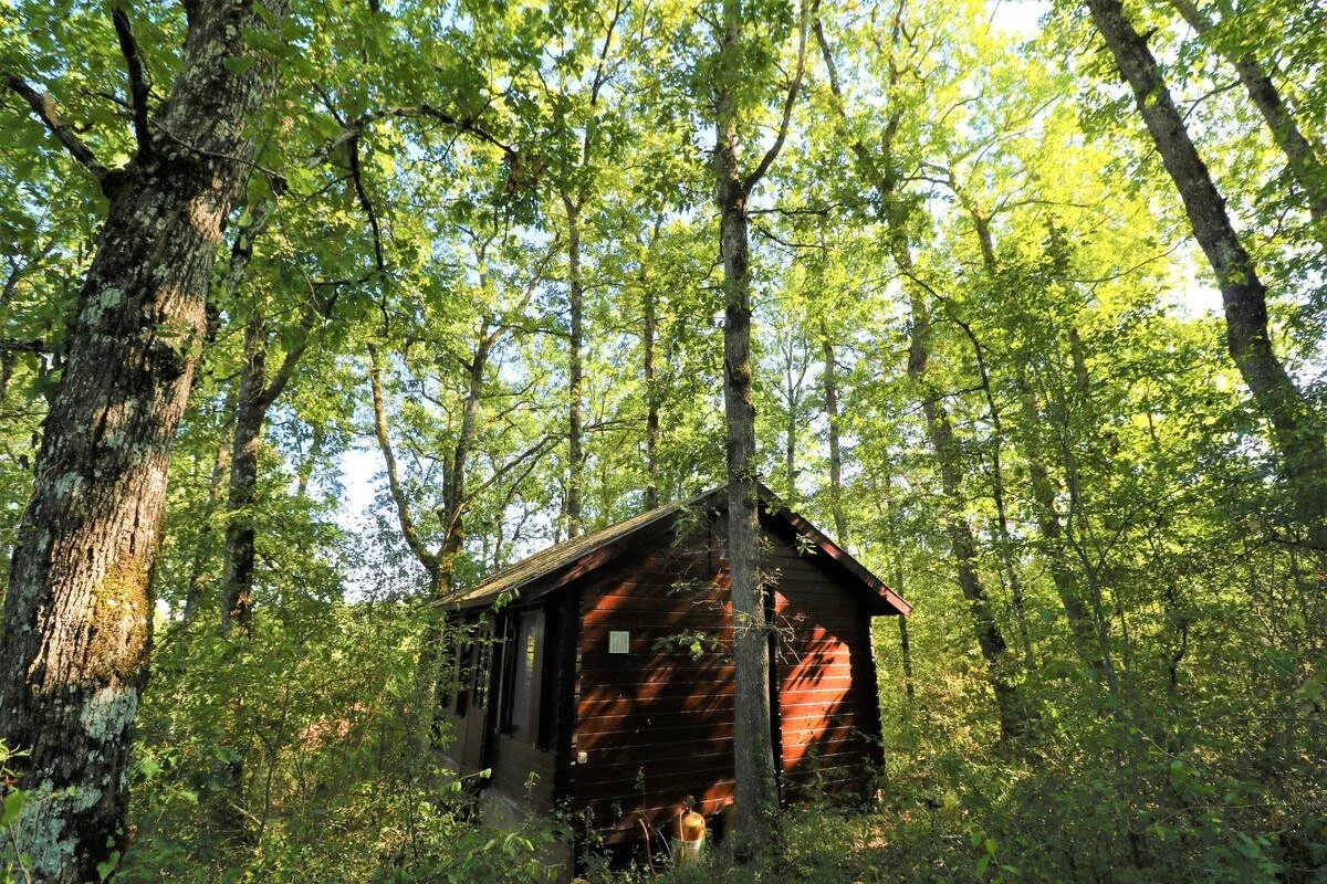 Tiny House Forest View.JPEG