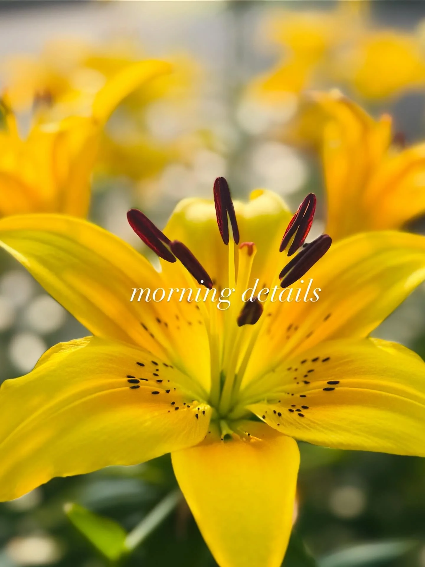 Every day. And Every Trip. 
ALL the little details ☀️🥐😍

Happy Friday!

~~~

✨Grab our Summer State Guide in bio link for rooftops worth lingering on and hideaways made for slow moments to enjoy.

summer state of mind, travel over 40, pause and ref