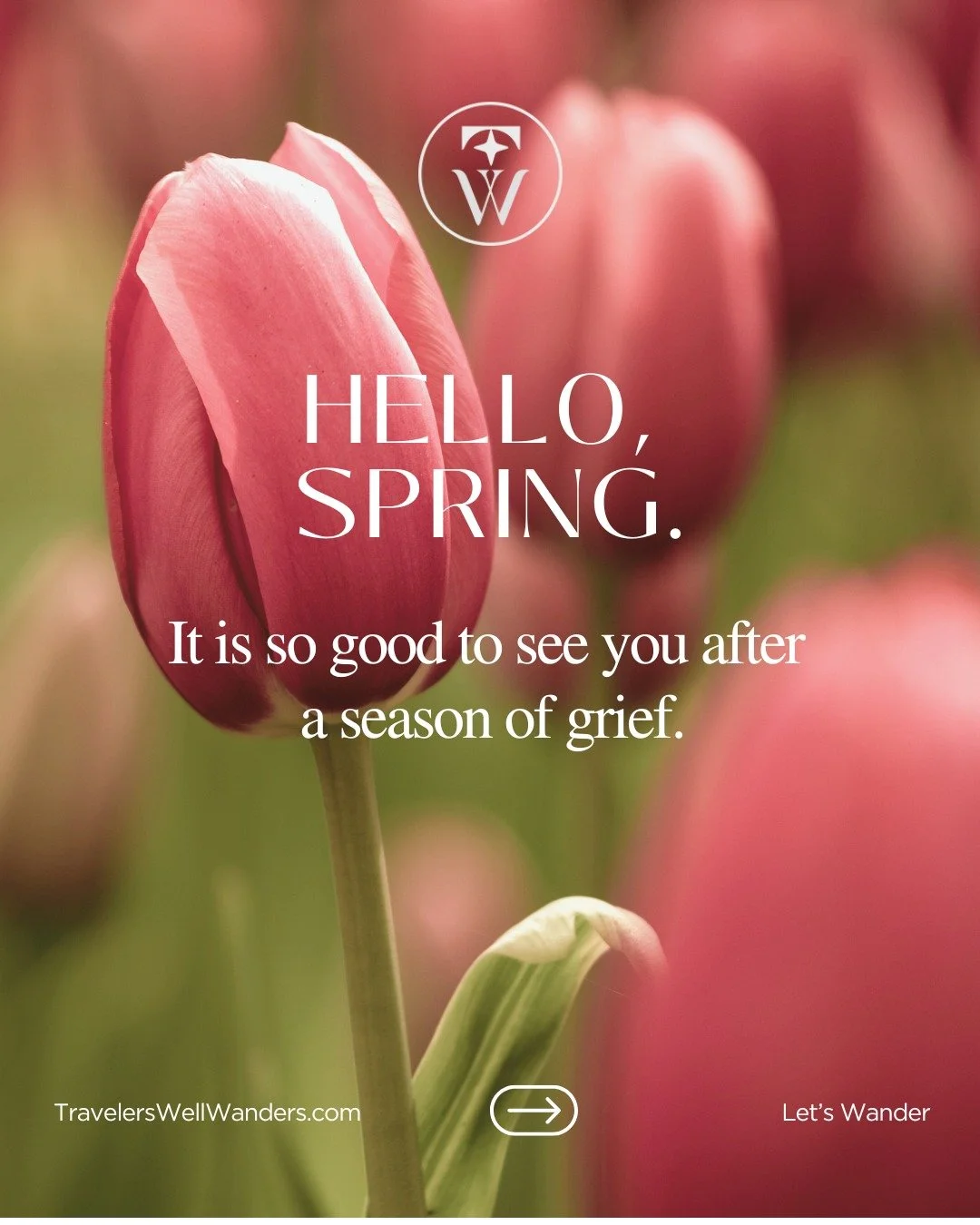 Grief has a way of slowing everything down.  I needed the stillness. I needed to let the world carry on while I just&hellip; breathed.

But spring doesn&rsquo;t ask permission to return. It just begins again: slowly, softly. And I&rsquo;m learning th