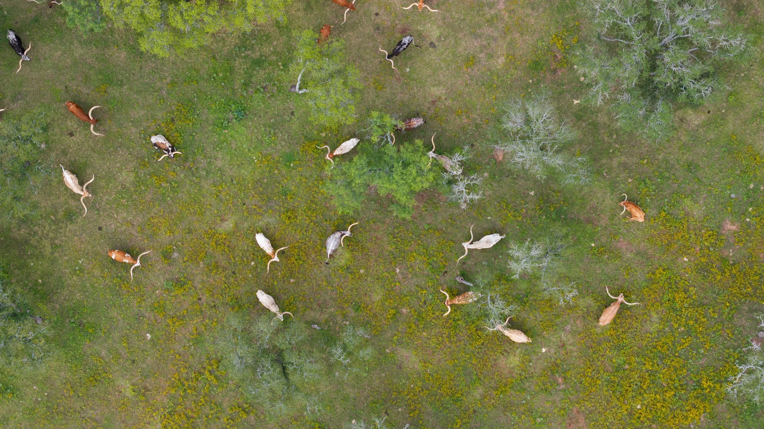 DJI_20260505115534_0095_D.jpg