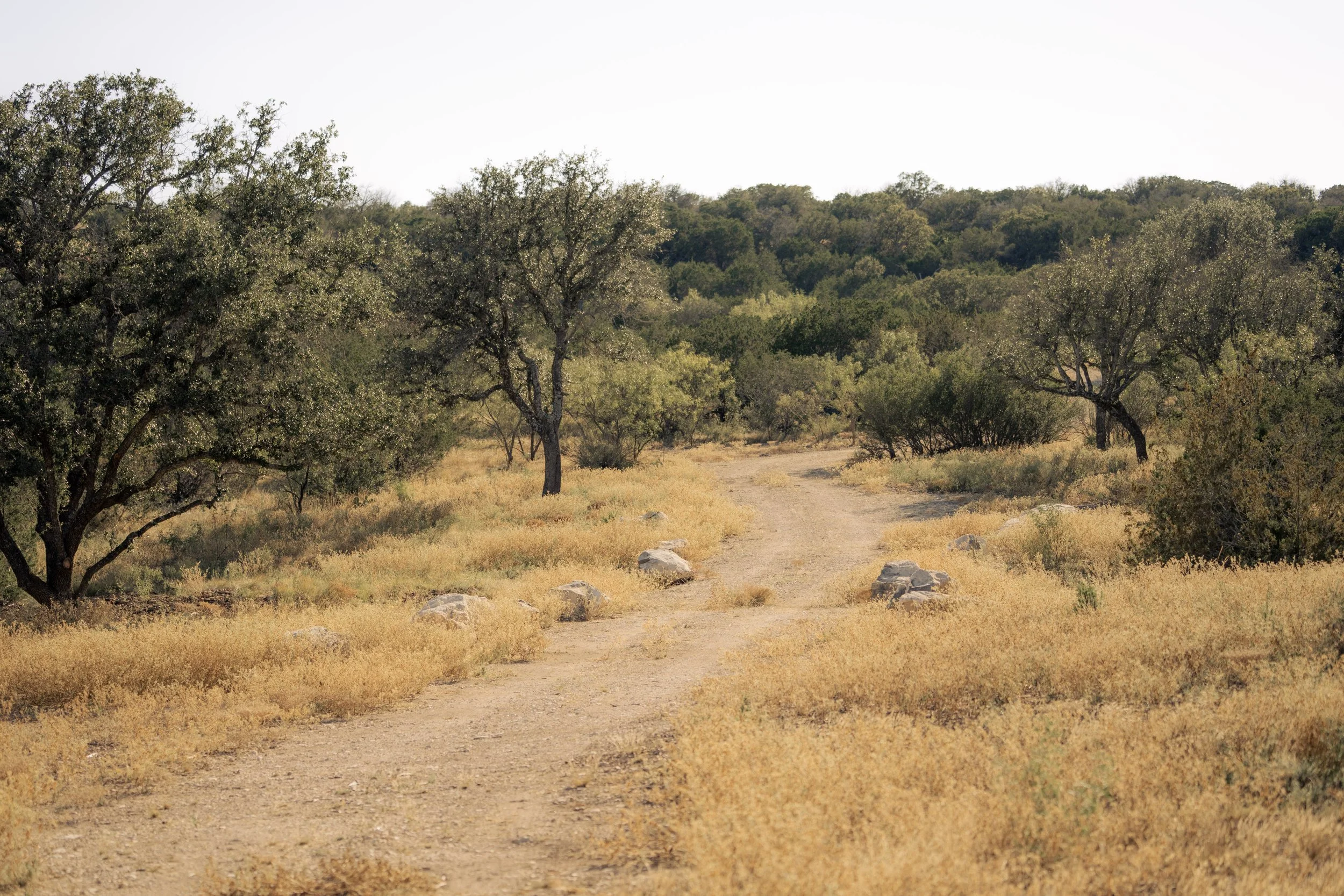 Texas Ranch Succession Planning: How Landowners Can Protect Their Ranch for the Next Generation