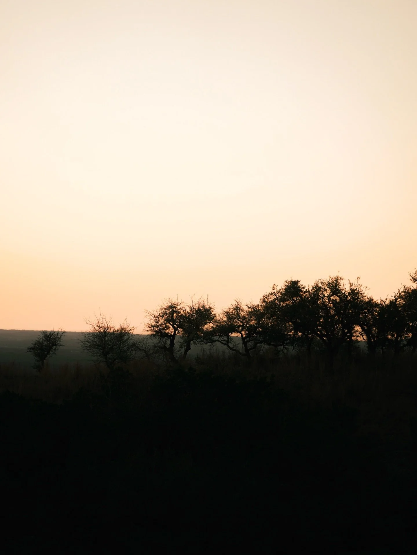 Sunsets like this are why people move out here.

20801 Hamilton Pool Rd offers 10 acres, beautiful trees, and a homesite with long-range Hill Country views in Lake Travis ISD.
Offered at $750,000.

#sunset #realestate #helbinglandandranch #austin