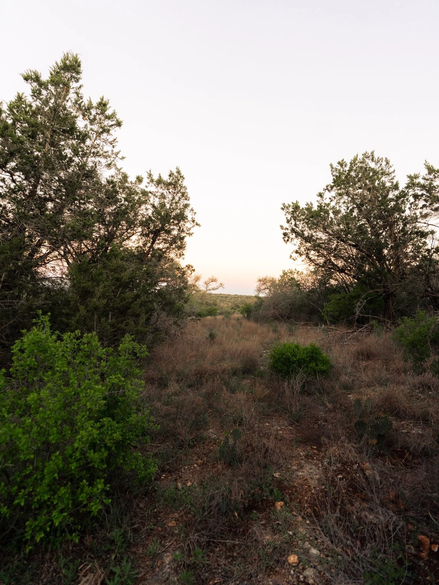 14 acres in San Marcos offering the kind of privacy, usability, and location that&rsquo;s getting harder to find.

Set at the end of a cul-de-sac on Oak Grove Rd, this property has a quiet, tucked-away feel while still being just minutes from town. R