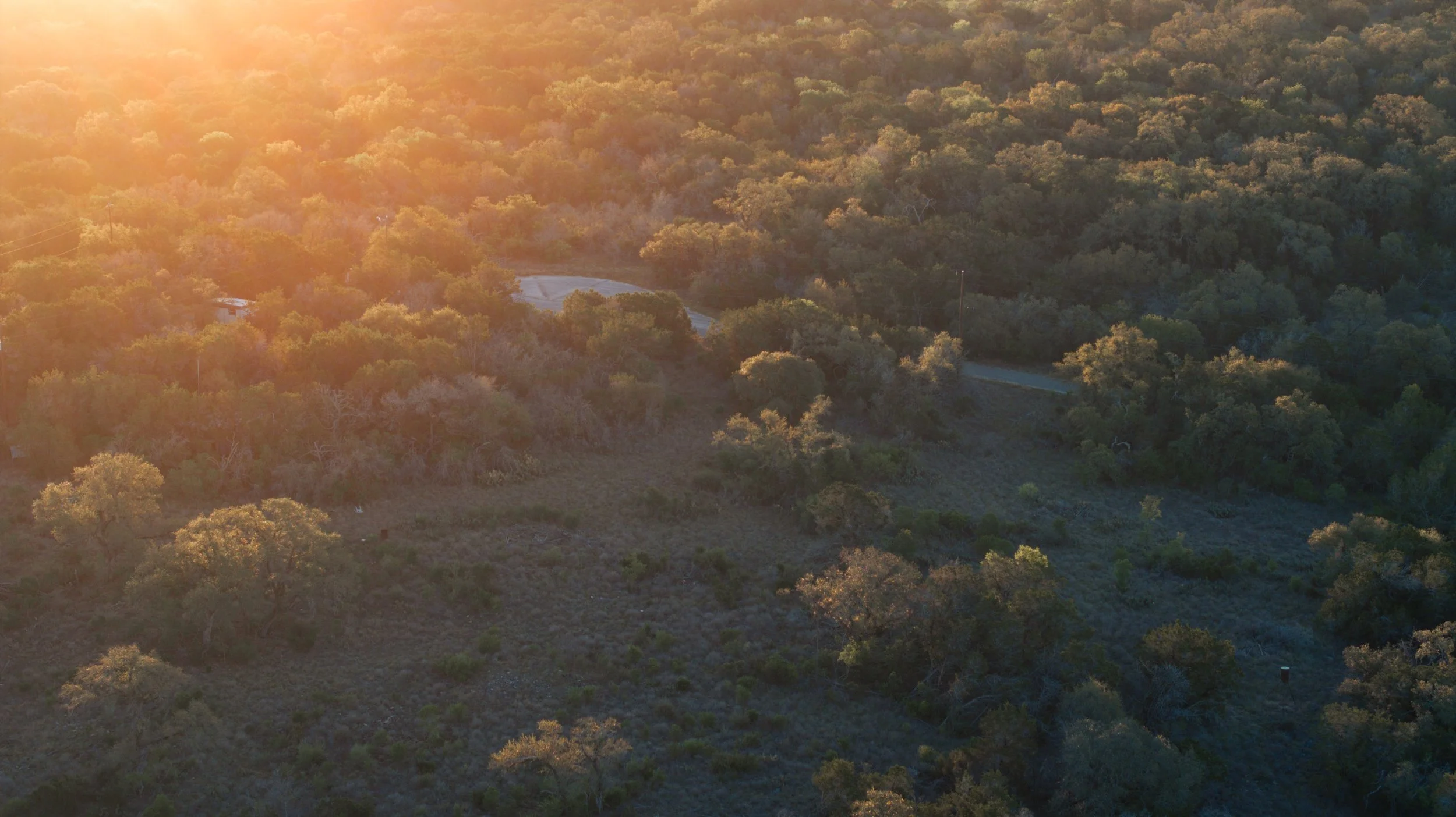 Aerial view of a wooded landscape during sunset, showing a mix of green trees and open areas with a small road visible.