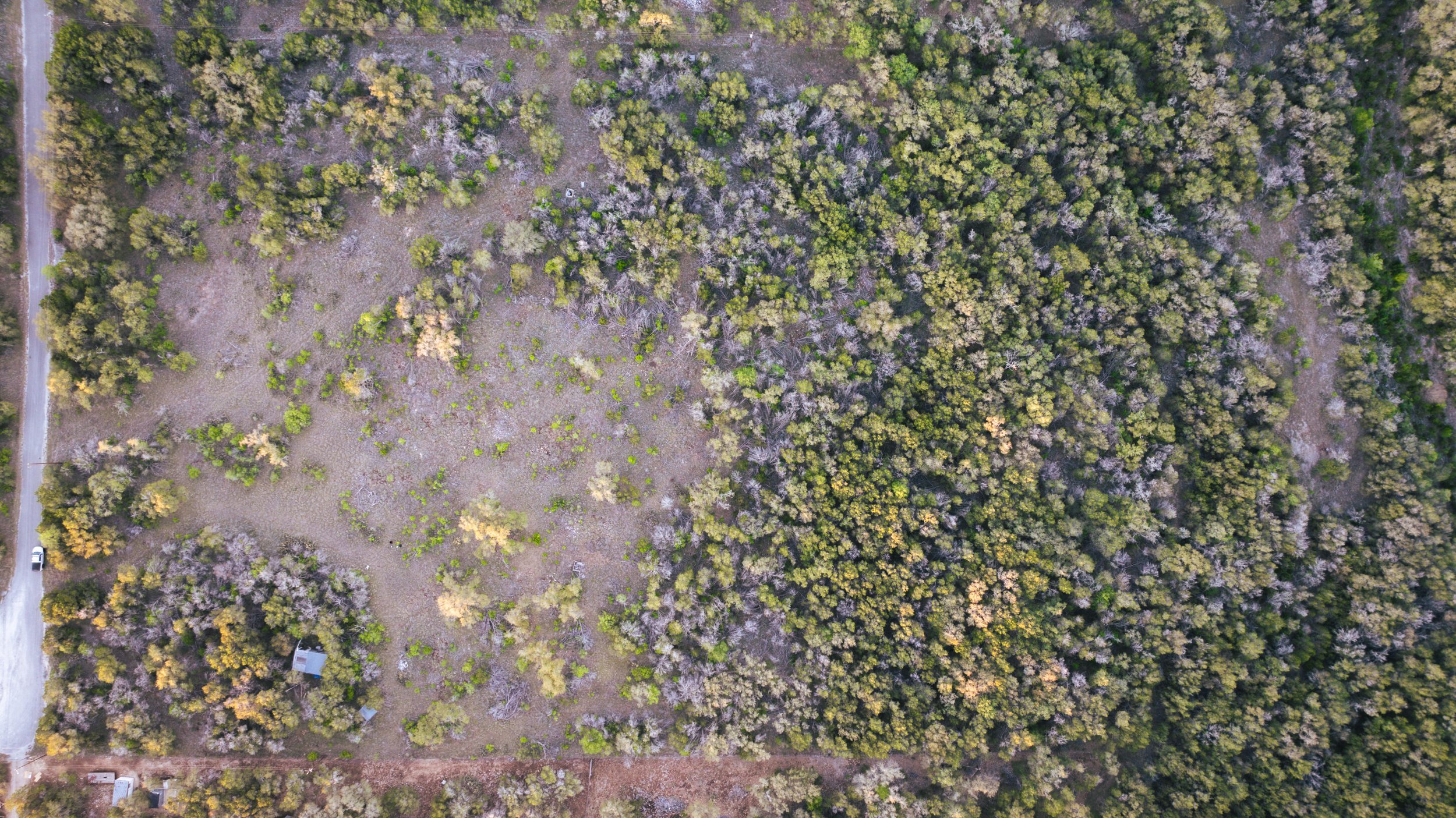 Aerial view of a forested area with a mix of dense green trees and open grassy patches, with a dirt road running along the left side.