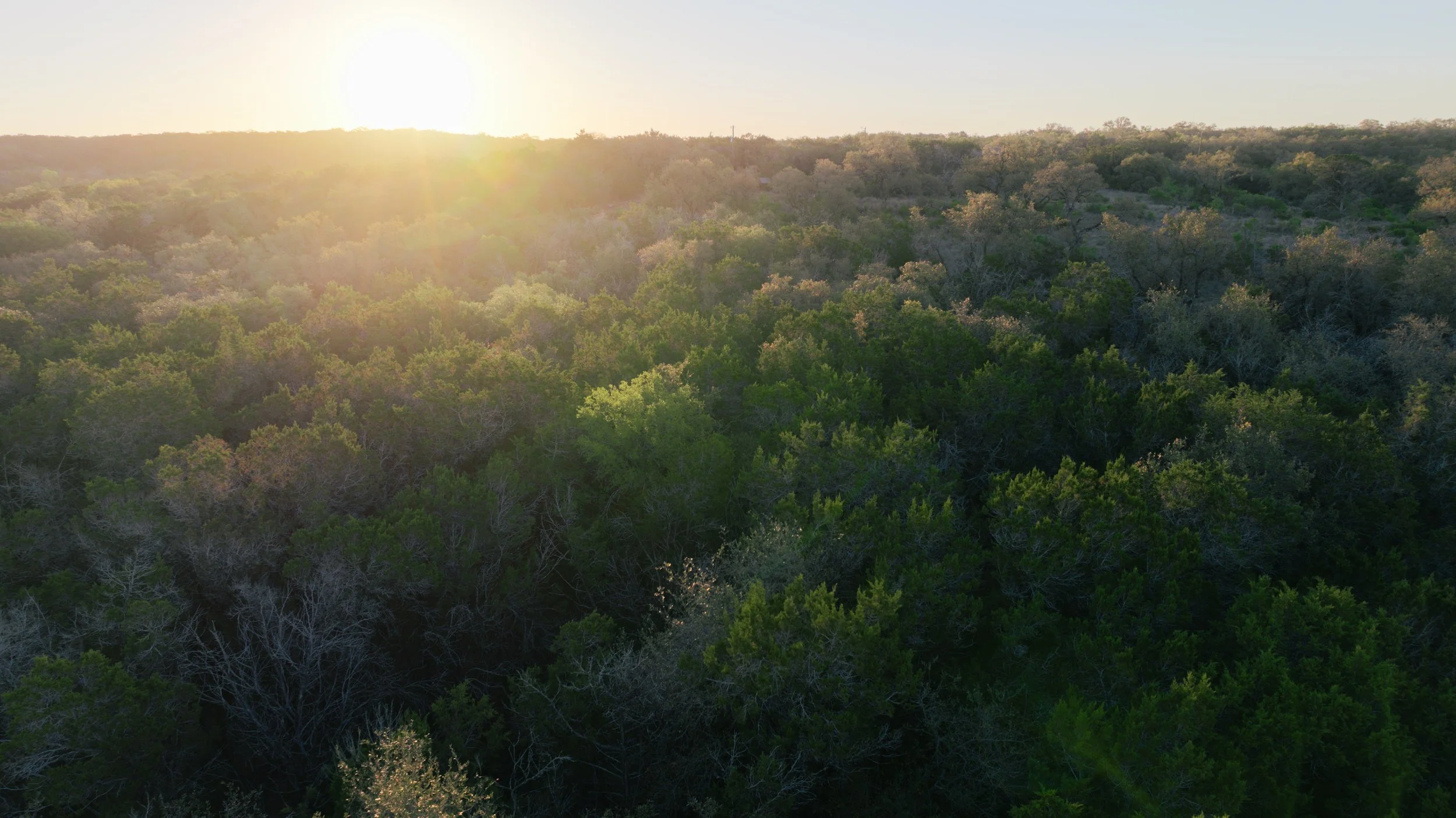 Sunset over a lush green forested landscape with trees and hills.