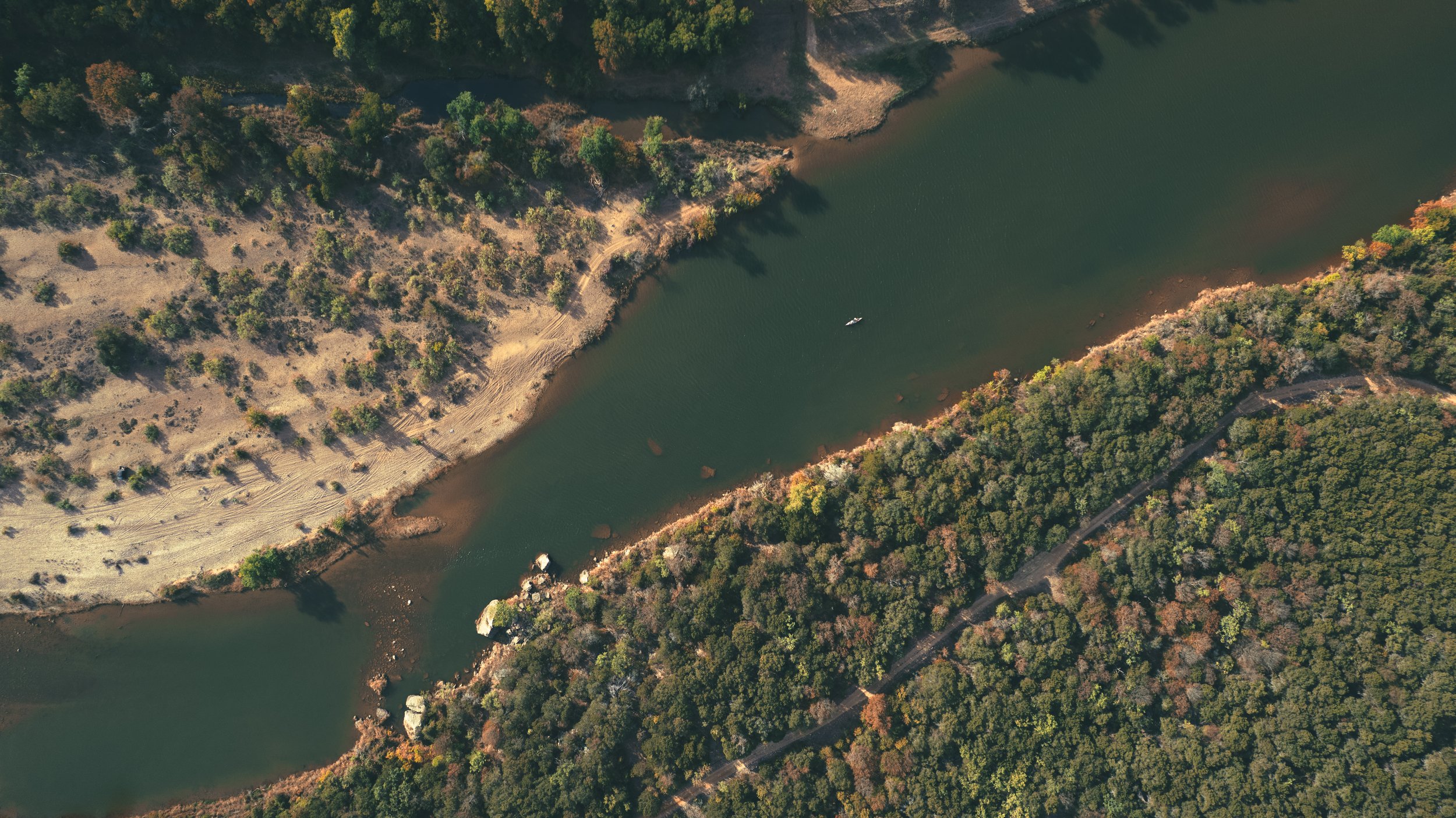 A grassy field with several trees under a clear blue sky with a few clouds.