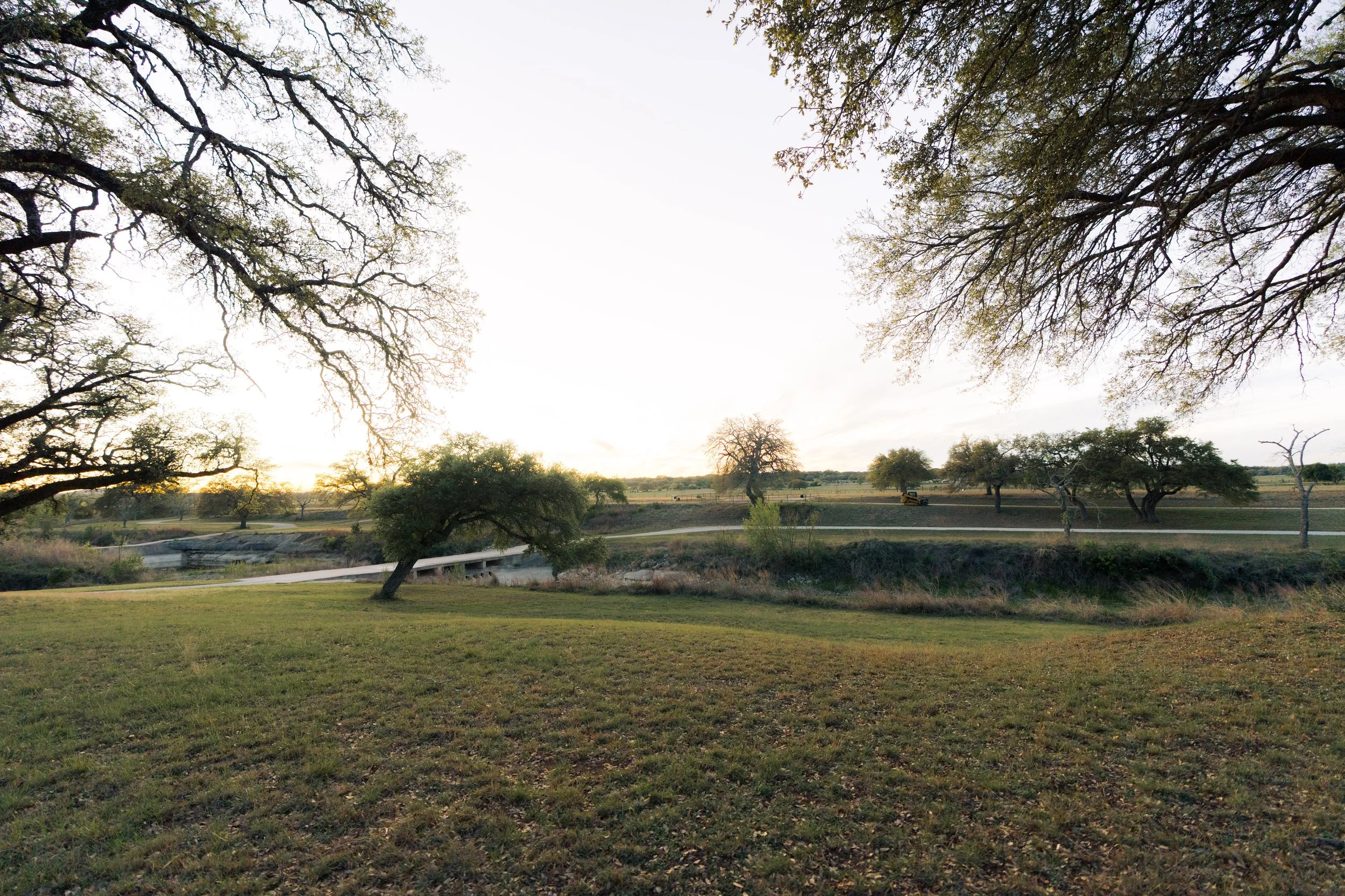 Open field with grass and trees during sunset or sunrise, with distant trees and a fence visible in the background.