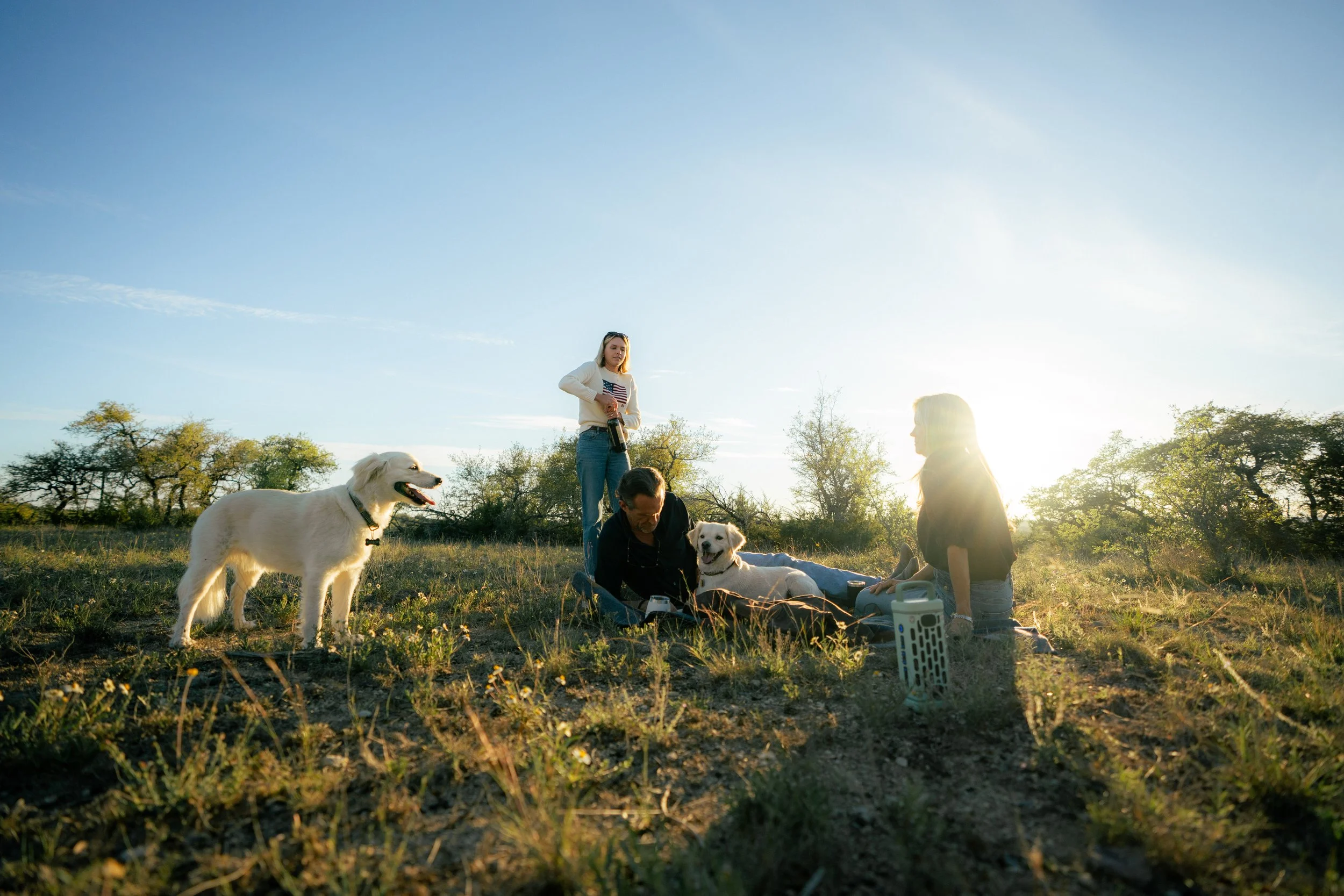 Group of people having a picnic outdoors with dogs on grassy land under a blue sky with sunlight.