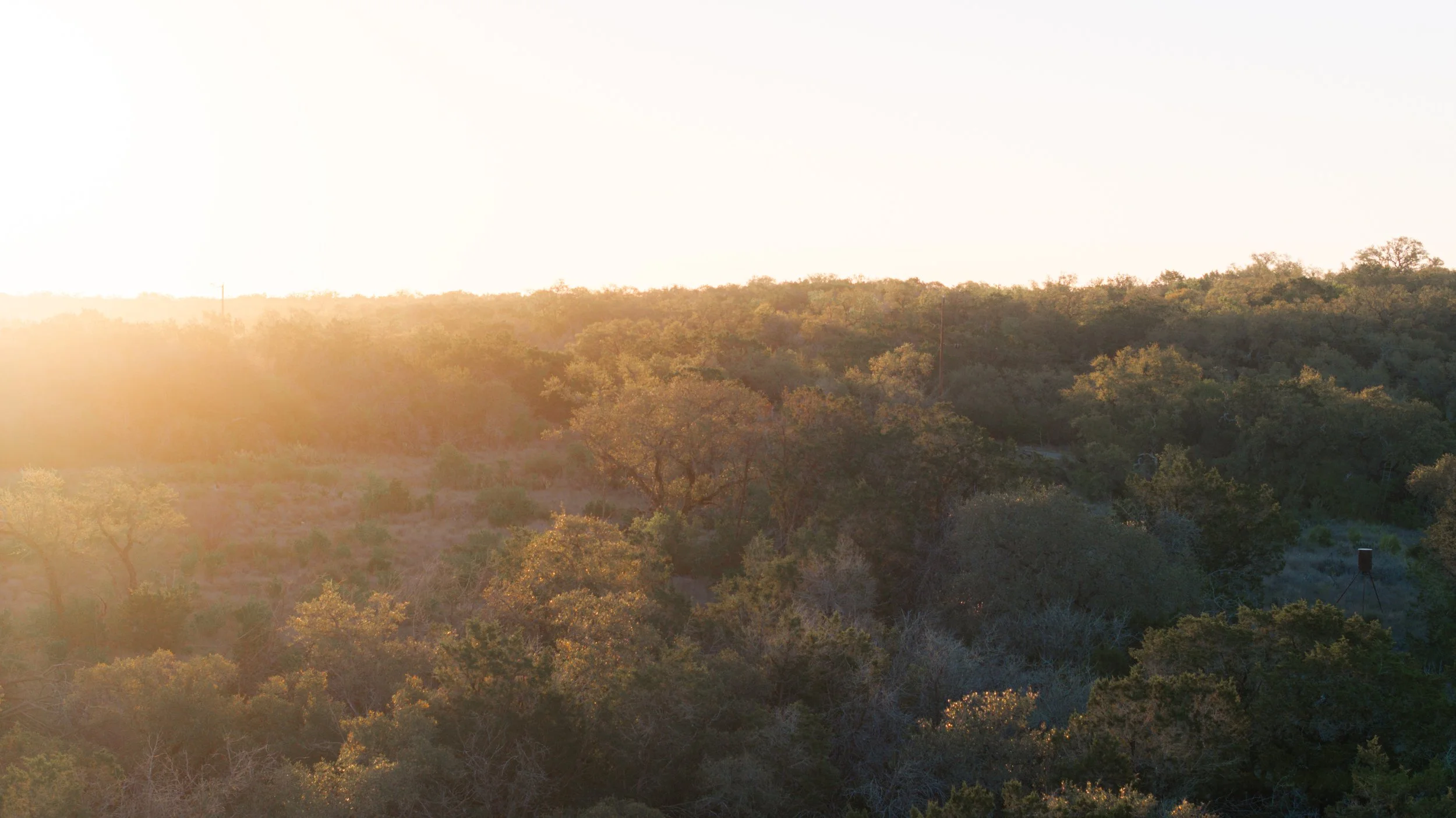 Sunrise over a forested landscape with trees and hills, sunlight casting a glow on the foliage.