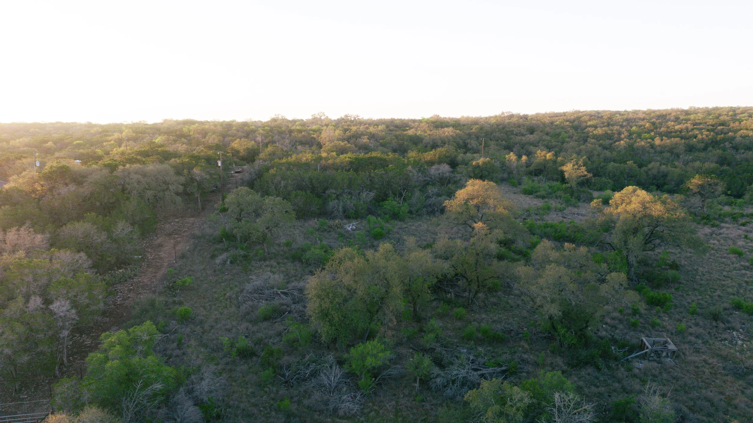 Aerial view of a hillside covered with trees and shrubs, with a few structures and power lines visible. The sky is clear and bright, suggesting sunset or early morning.