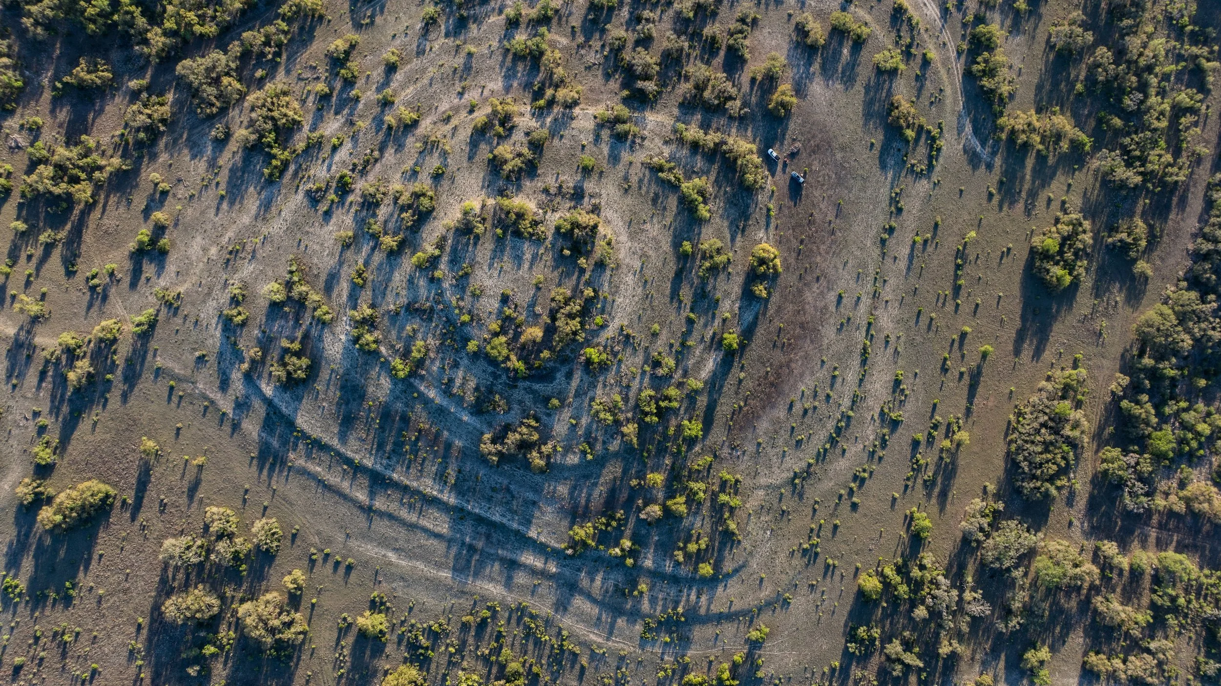 An aerial view of a hillside with sparse green trees and winding dirt paths, with two vehicles parked among the trees.