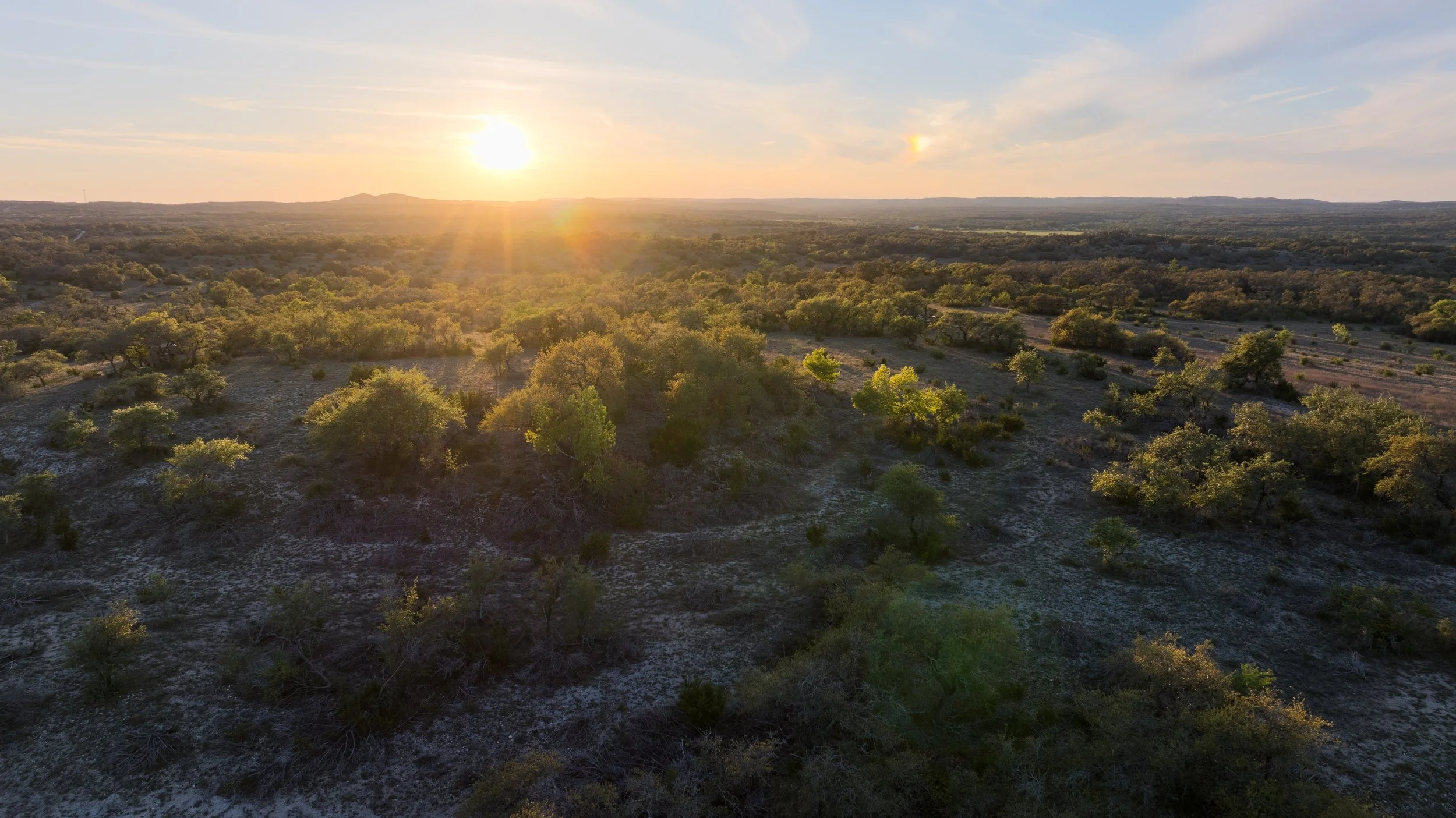 A landscape view of a forested area with scattered trees, seen during a sunset or sunrise with the sun low on the horizon and casting a warm glow over the scene.