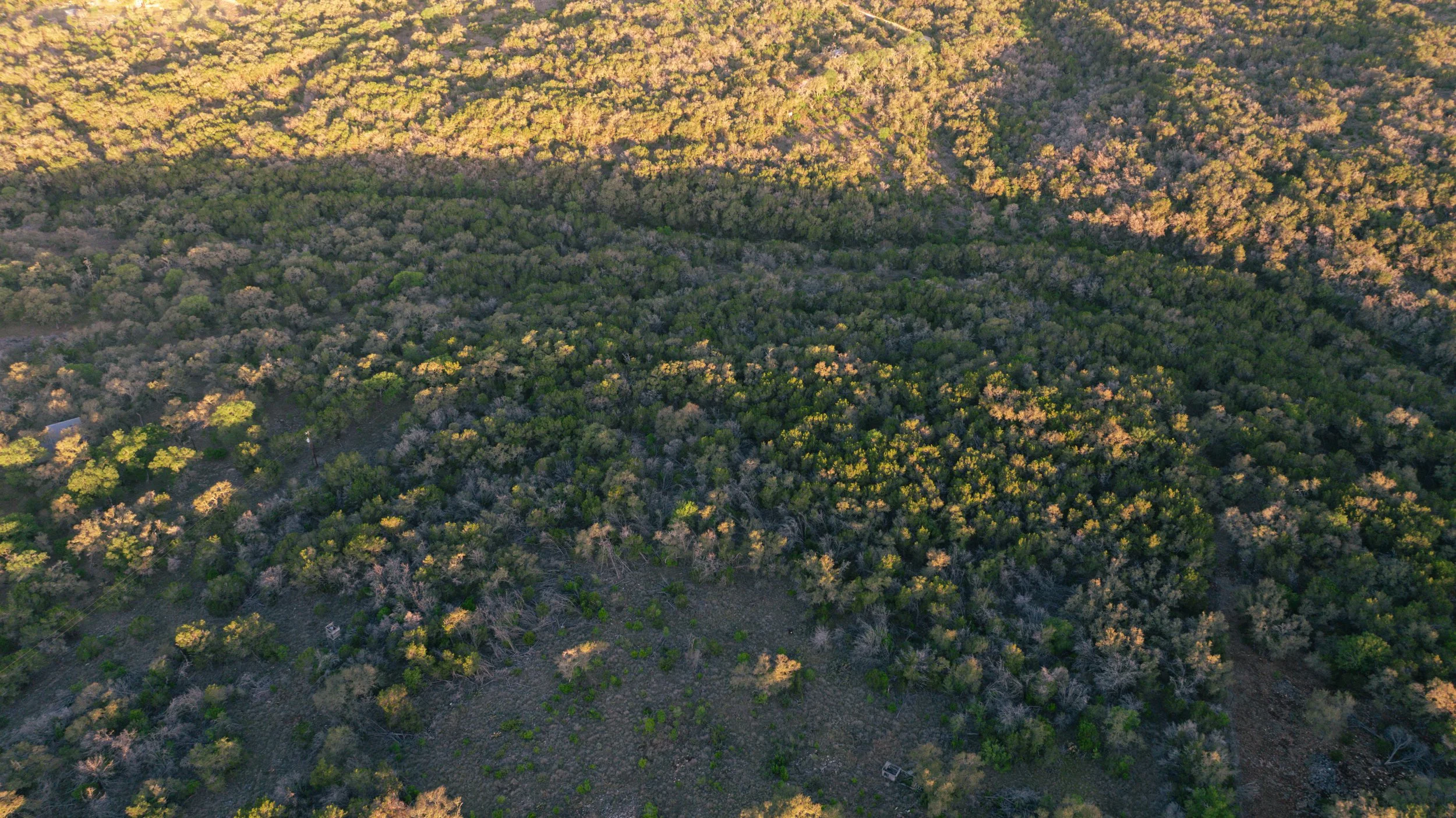 Aerial view of a densely forested area with patches of green and brown trees and some open land on the hill slopes.