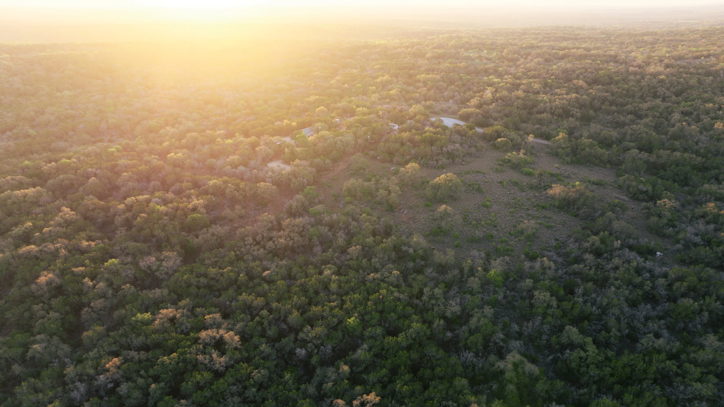 Aerial view of a vast forest with a hill in the center, surrounded by dense greenery, with sunlight casting a glow over the landscape.