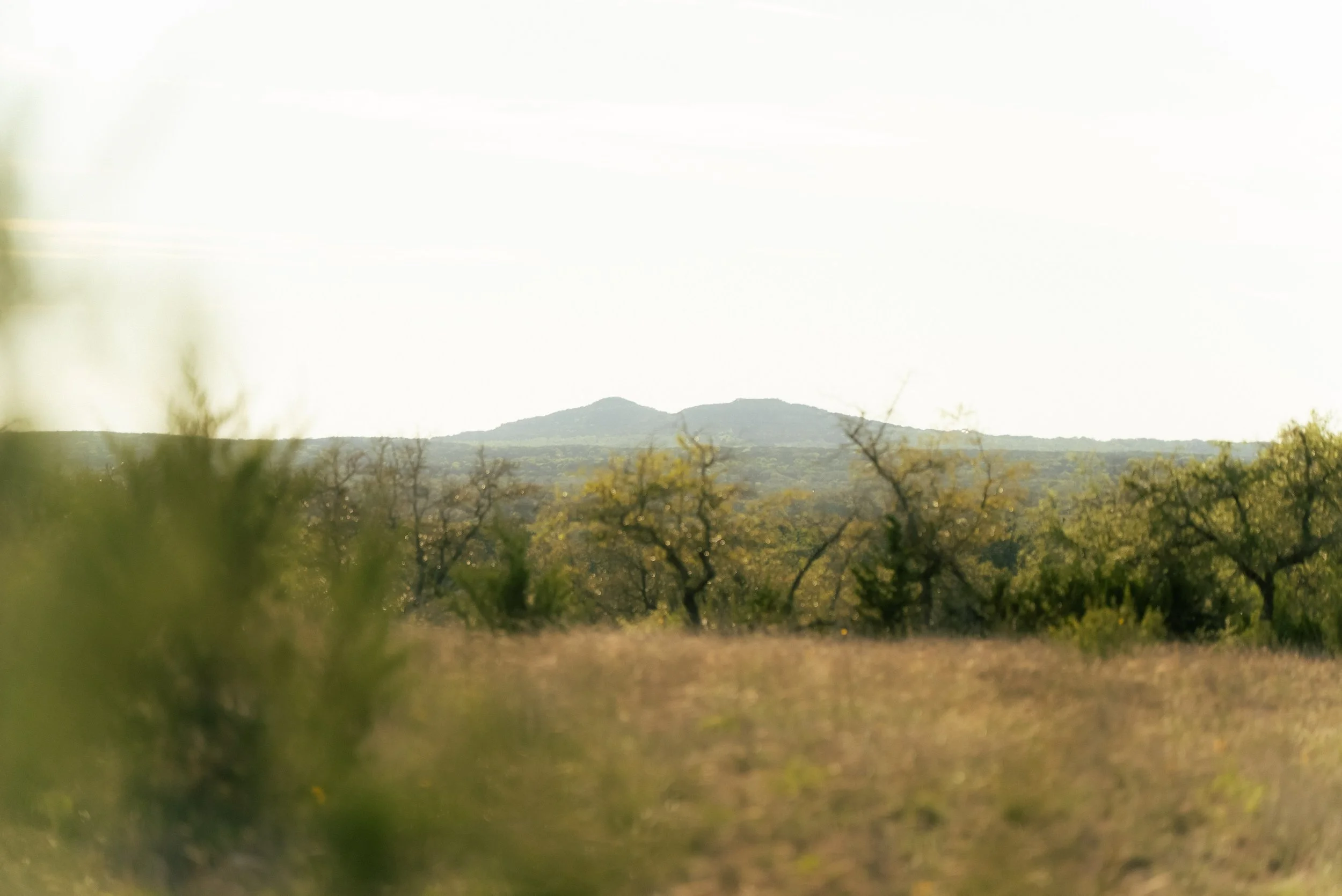 A landscape view of distant hills with trees in the foreground, under a bright, mostly clear sky.