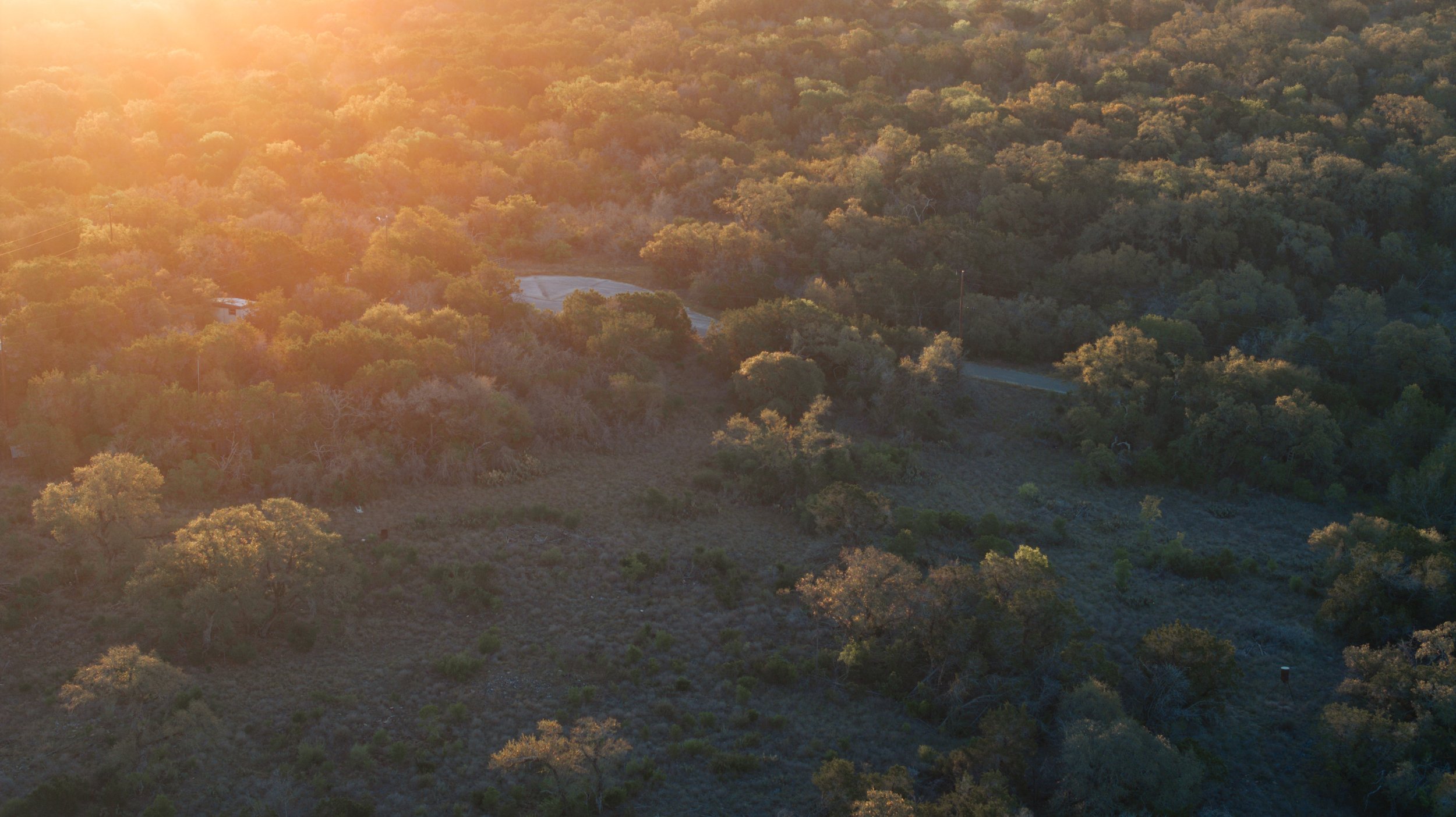 Aerial view of a forested landscape with trees and a dirt road, illuminated by golden sunlight during sunset.