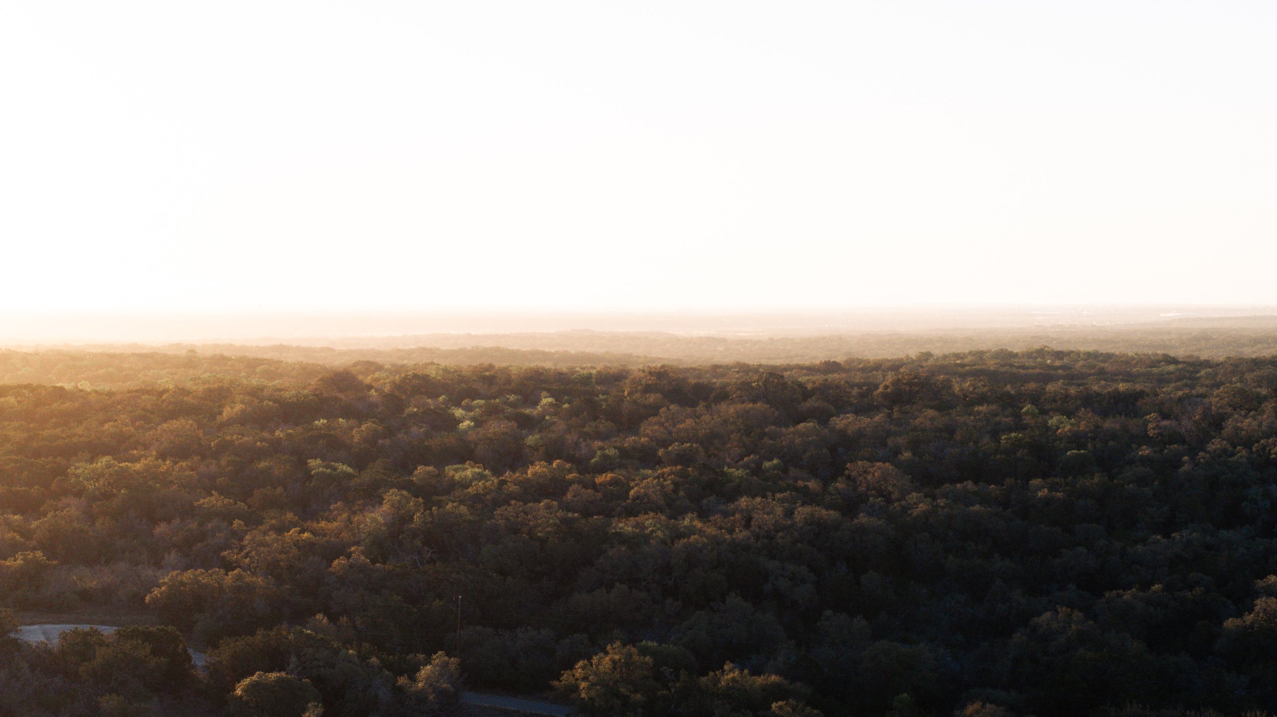 A vast landscape of dense forest under a bright, clear sky with the sun near the horizon, casting warm light over the trees.