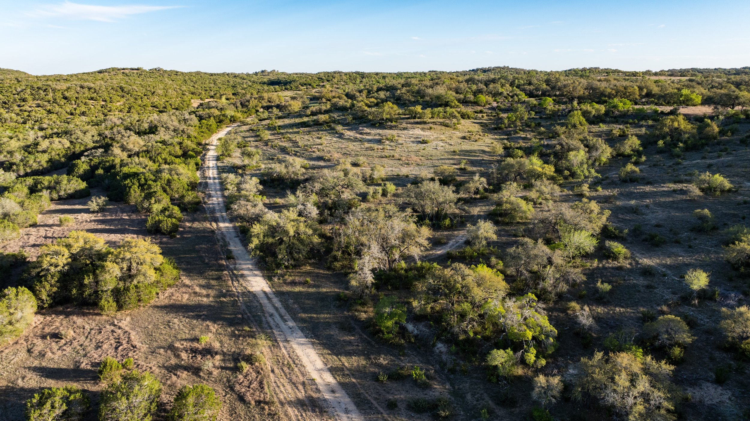 Aerial view of a rural landscape with a dirt road winding through sparse green trees and open land under a clear blue sky.