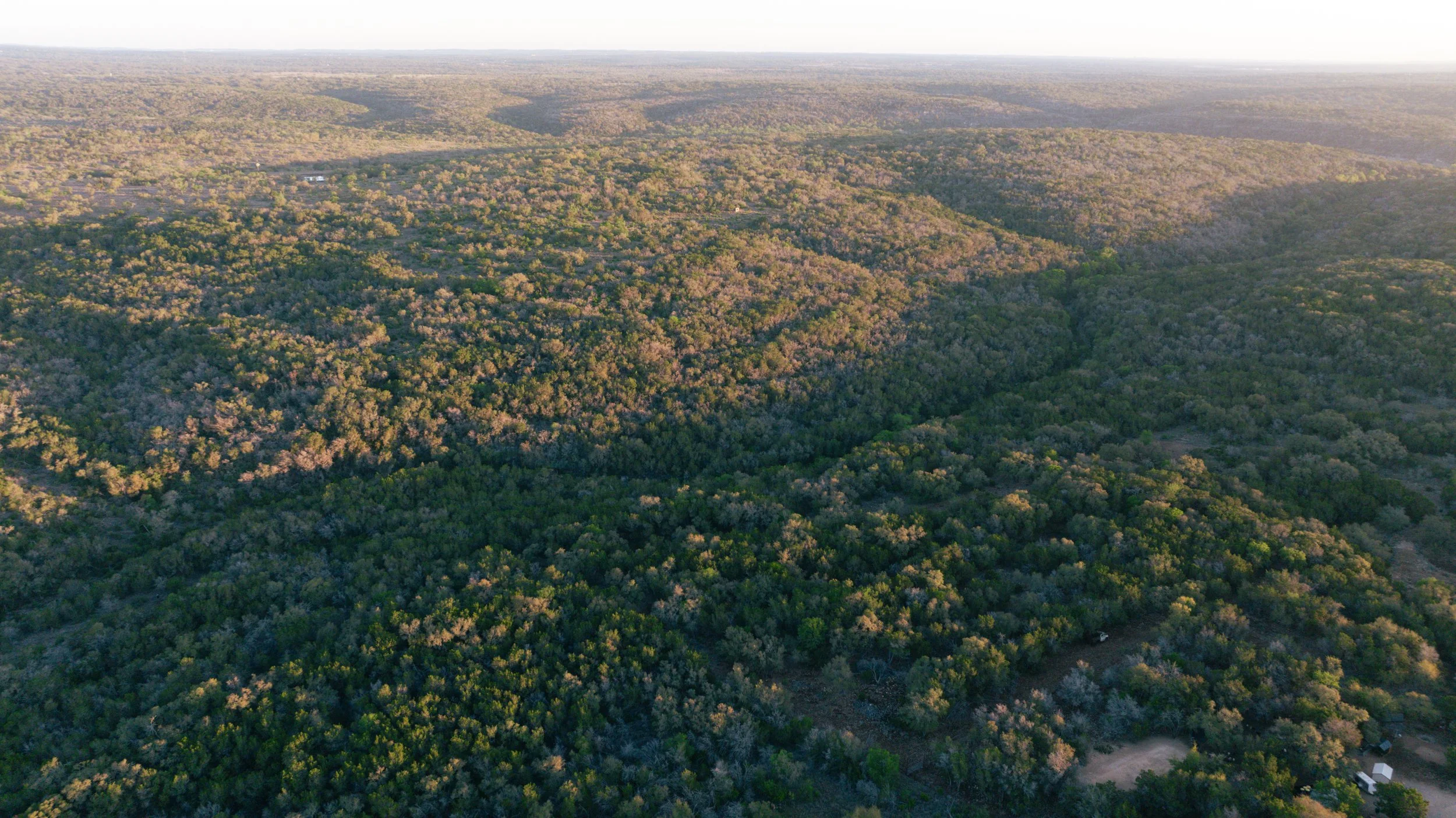 Aerial view of a vast green forest landscape with rolling hills and valleys, with some small buildings visible in the distance.