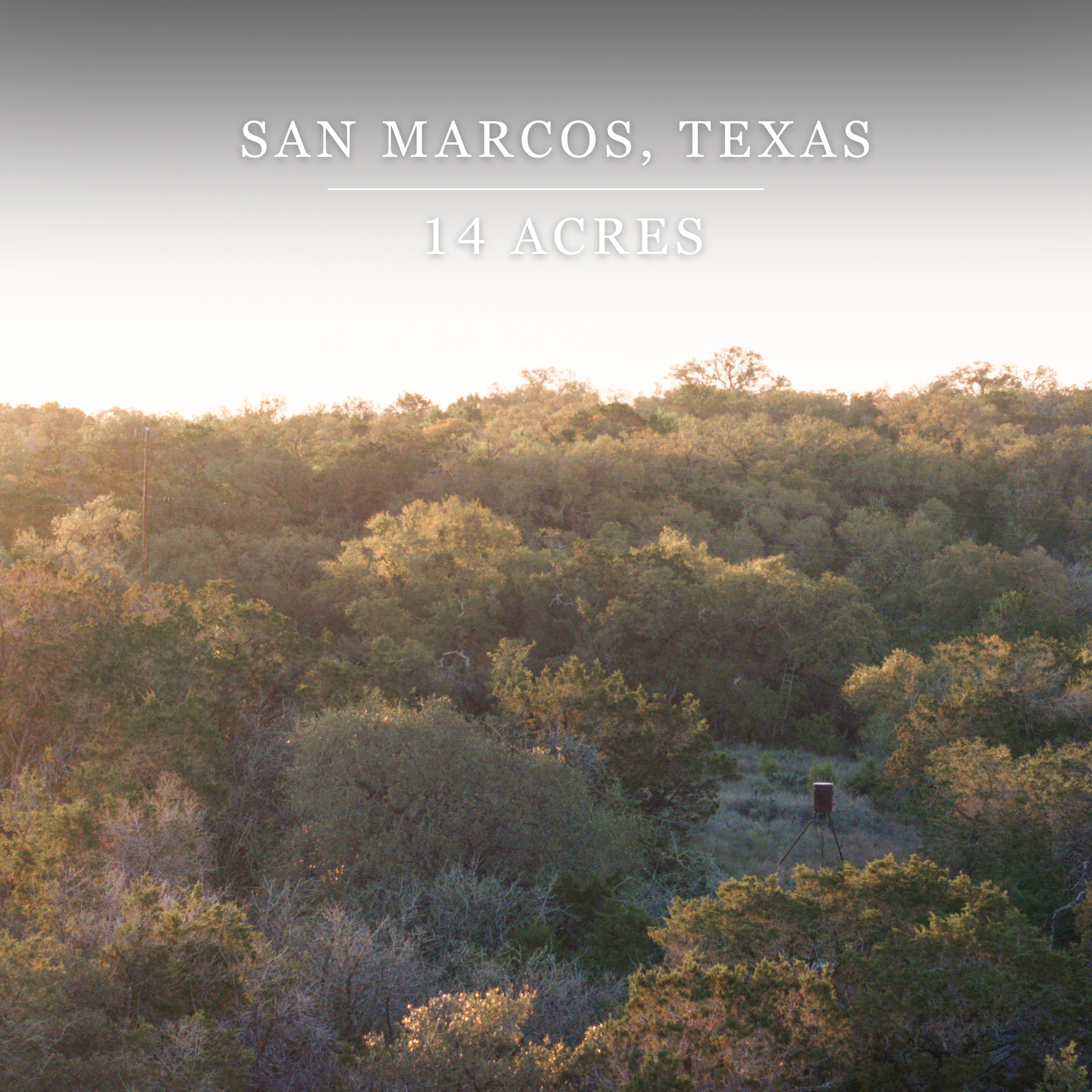 A scenic view of a forested area with trees and a wildlife camera in San Marcos, Texas, promoting 14 acres of land.