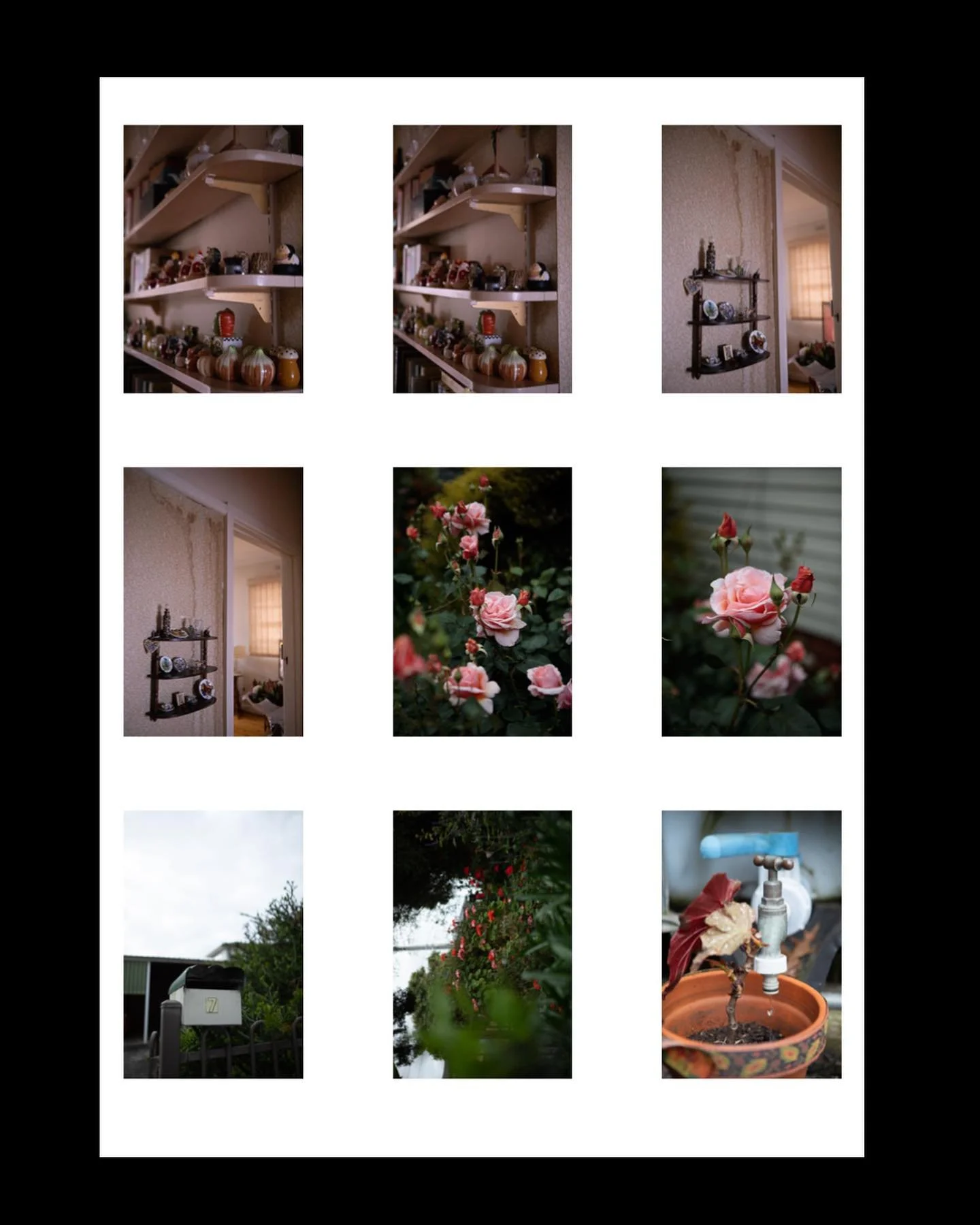 test shoots 1 

morison, september 2024
featured artist @livmorison 

sundriesstudio.com