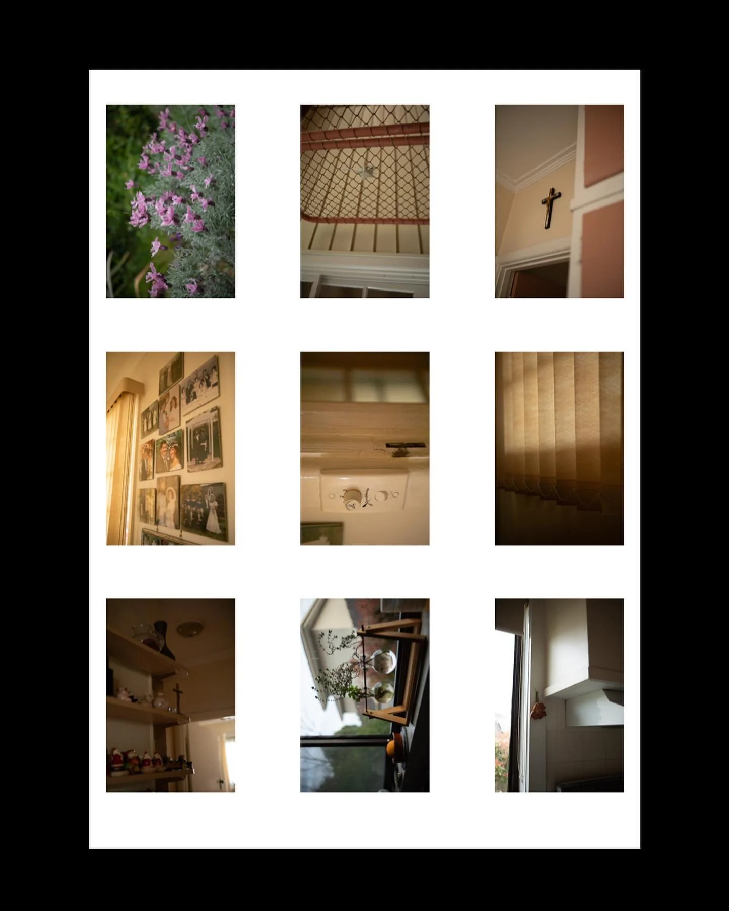 test shots 2 

morison, september 2024
featured artist @livmorison 

sundriesstudio.com