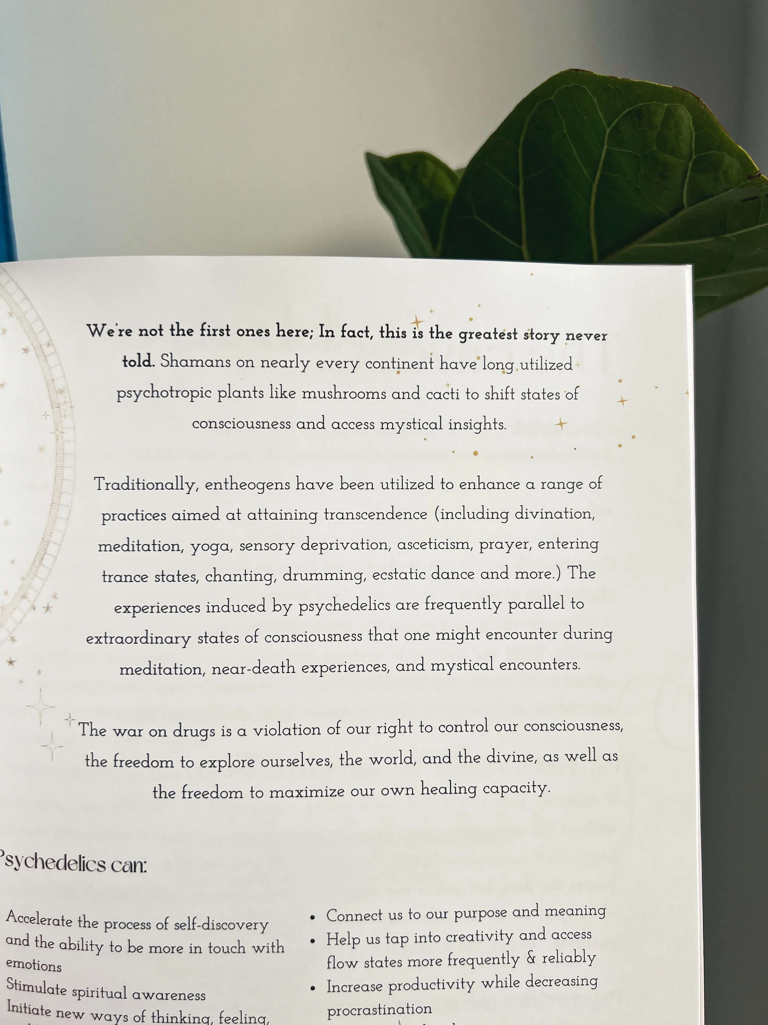 microdosing alex experience.JPG