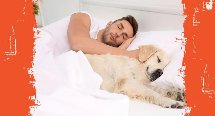 How to Use ADHD Medication Strategically as a Business Owner