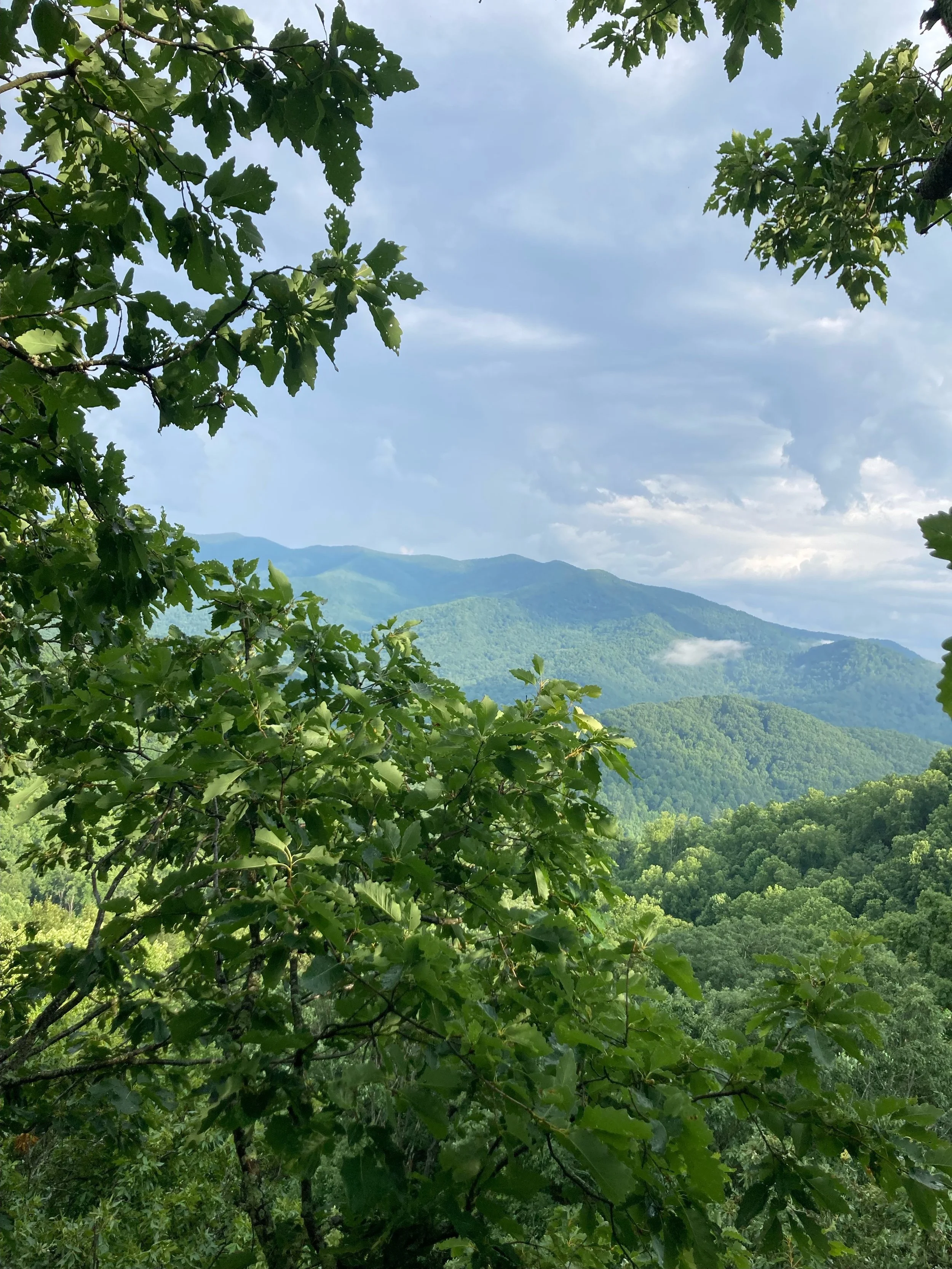 202407-above-Asheville-Healing-Retreat-traditional-healer-log-cabin-wellness-retreat copy.jpeg