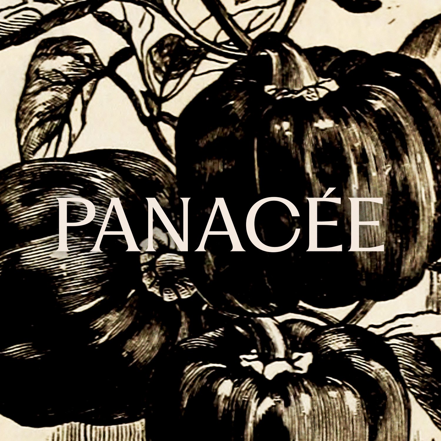 Illustration de poivrons noirs avec le mot "Panacée" en lettres majuscules superposées.