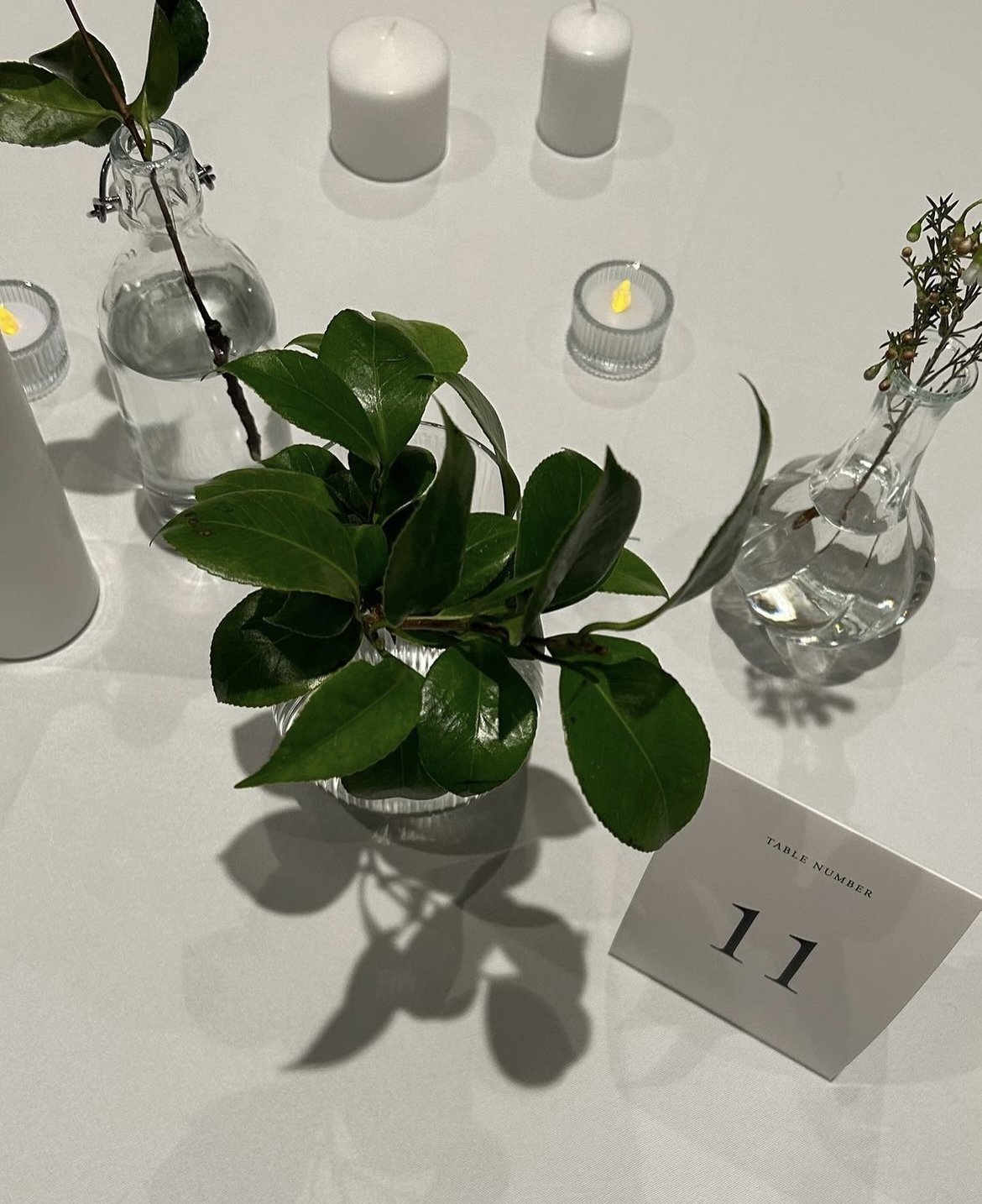 Votive Candles (80)